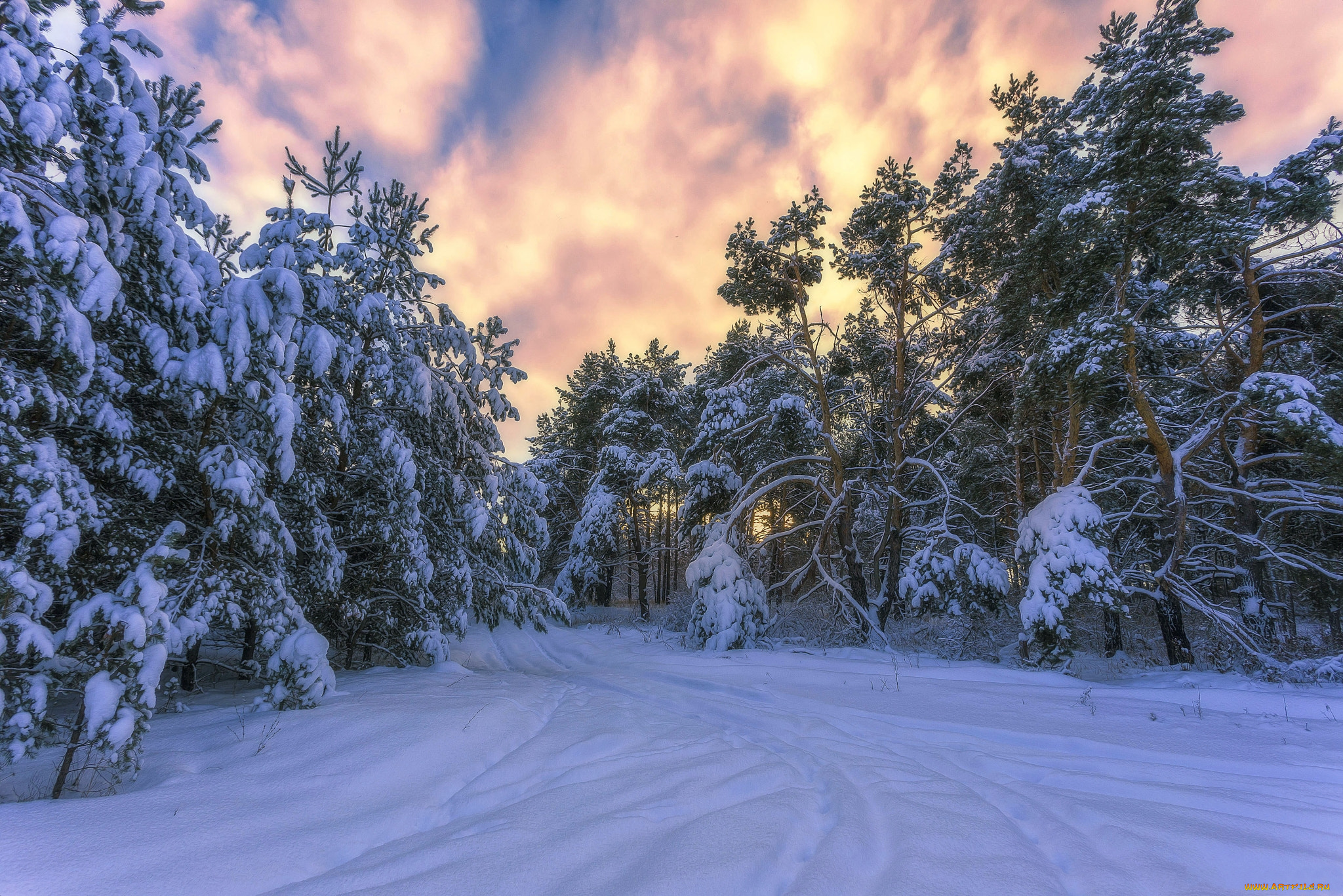 природа, зима, снег, лес, дорога