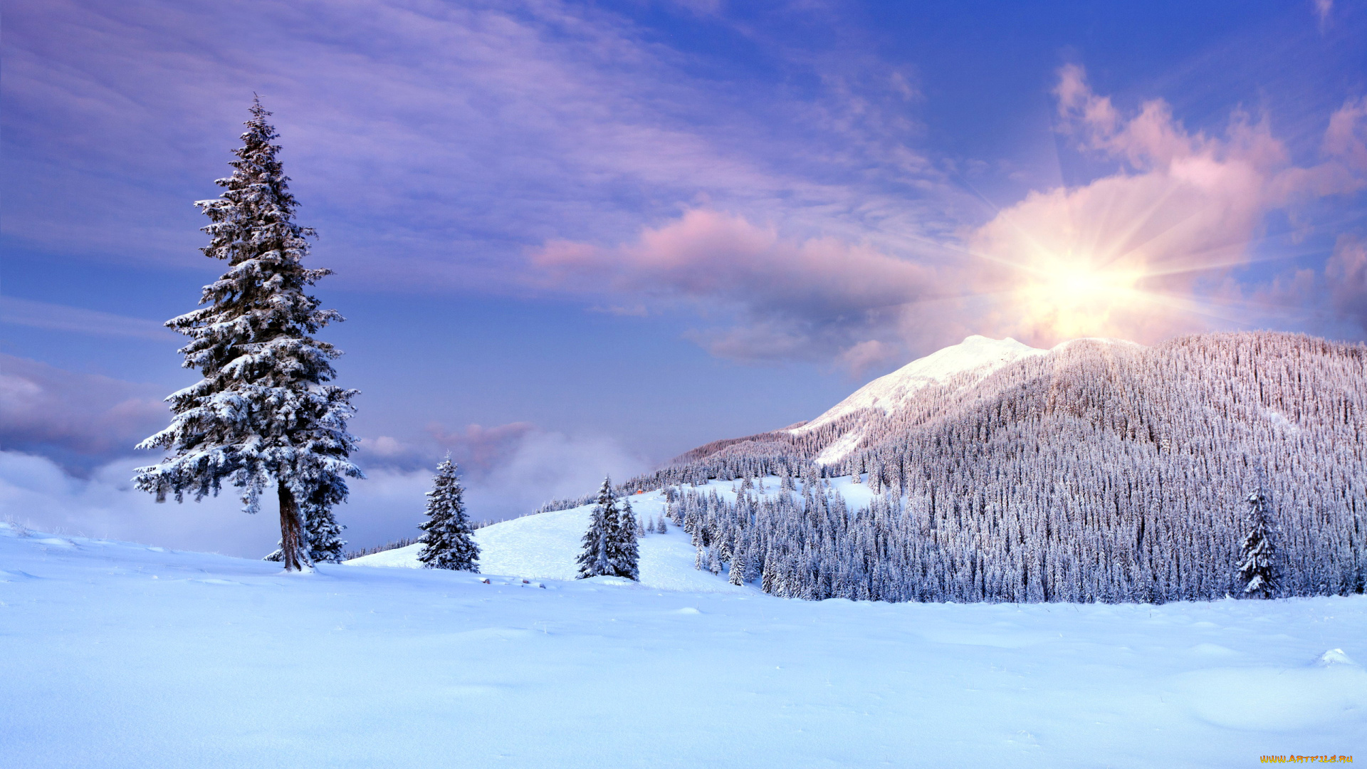 природа, горы, снег, деревья, солнце