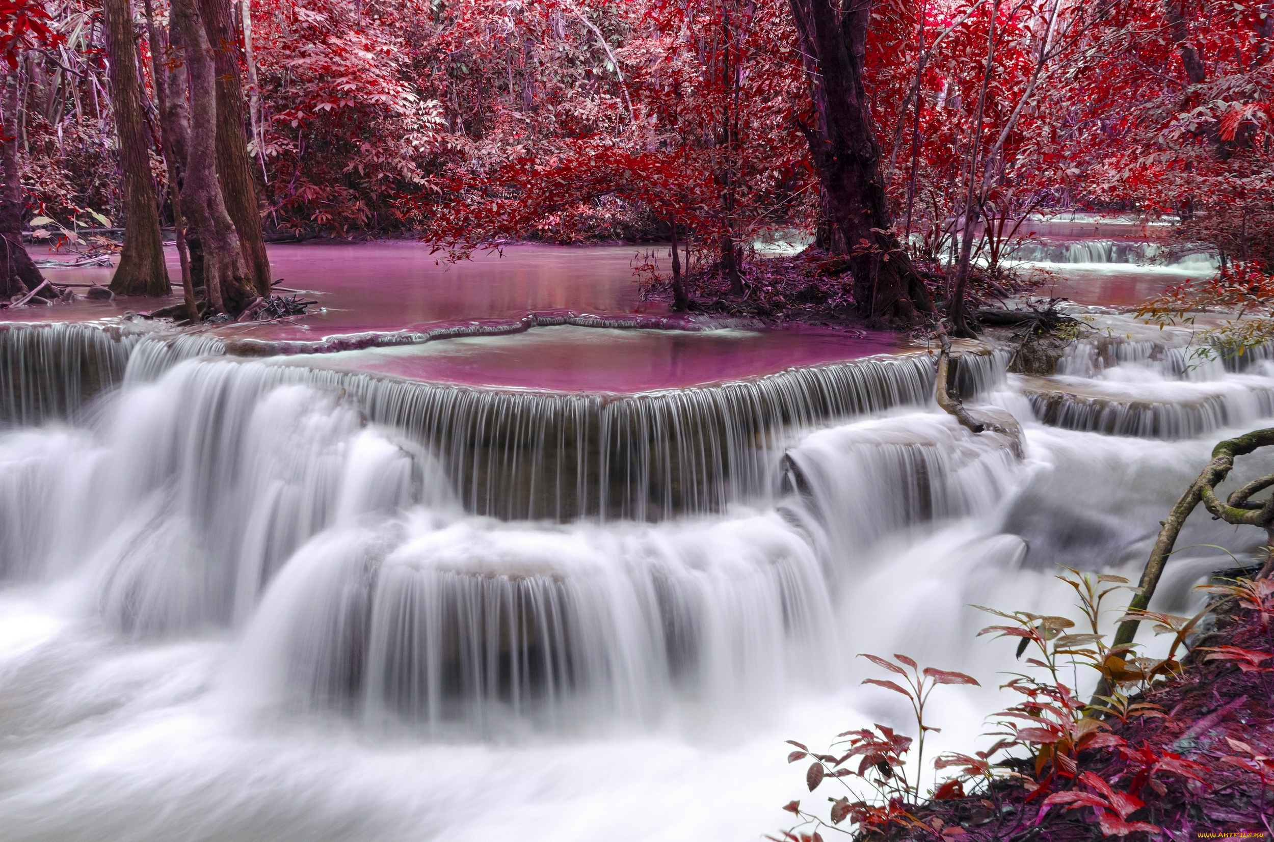 природа, водопады, осень, розовый, водопад, деревья