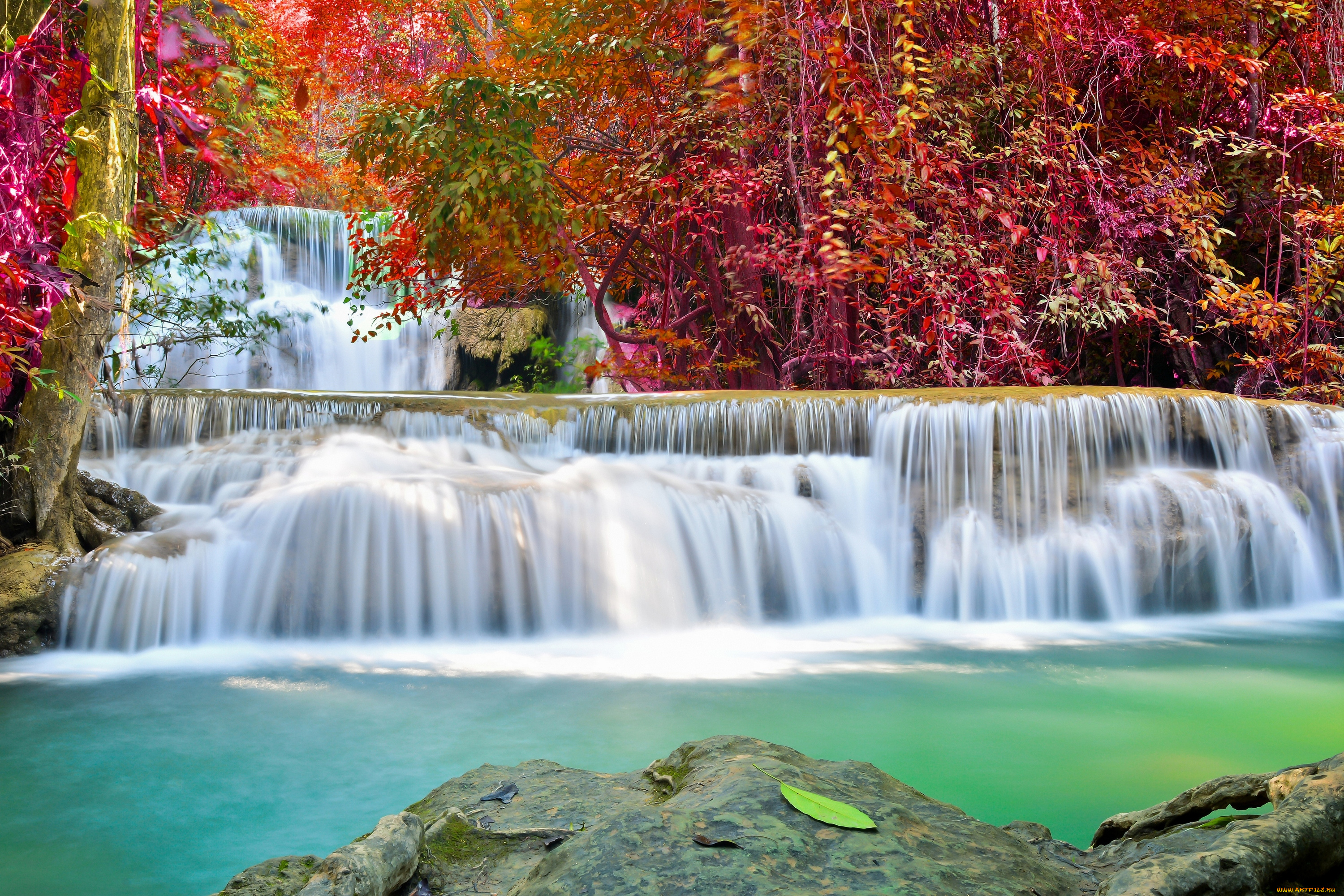 природа, водопады, желтые, деревья, осень, водопад