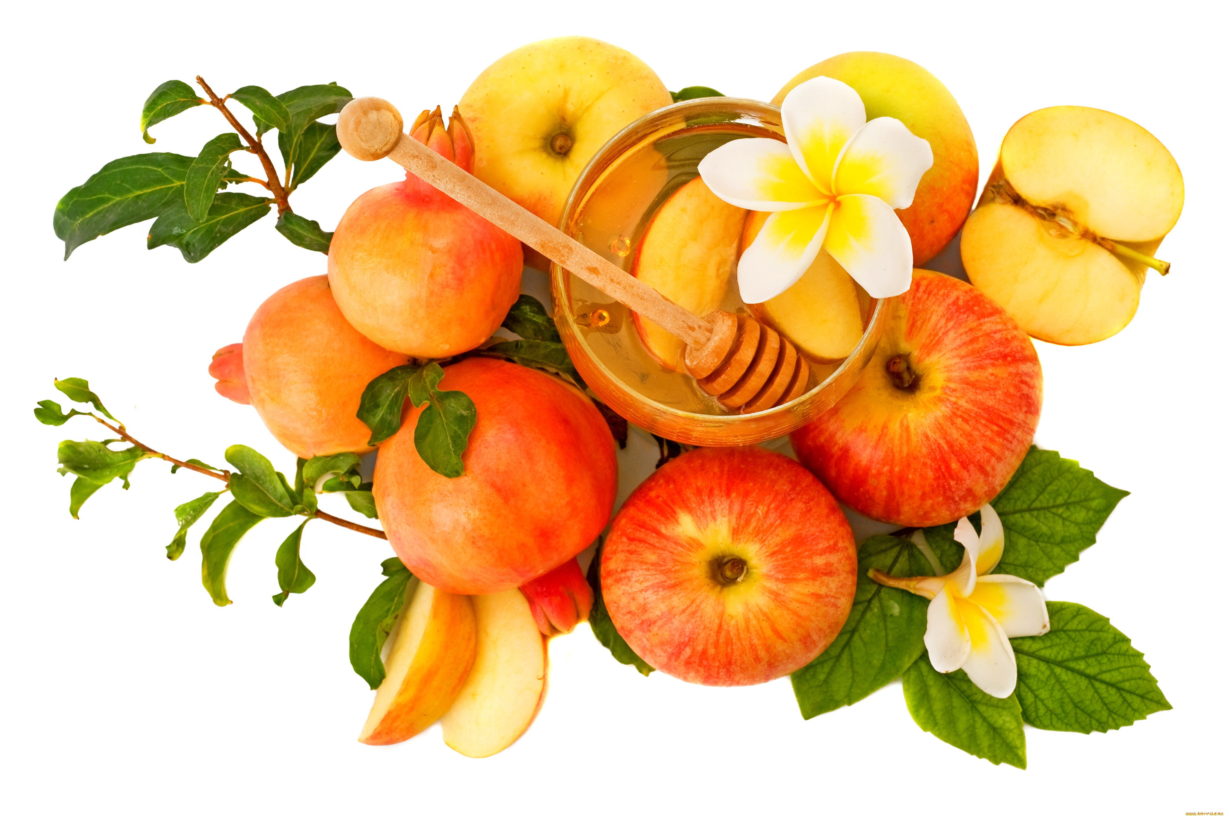 еда, мёд, , варенье, , повидло, , джем, белый, фон, яблоки, дольки, яблок, баночка, мед, цветок