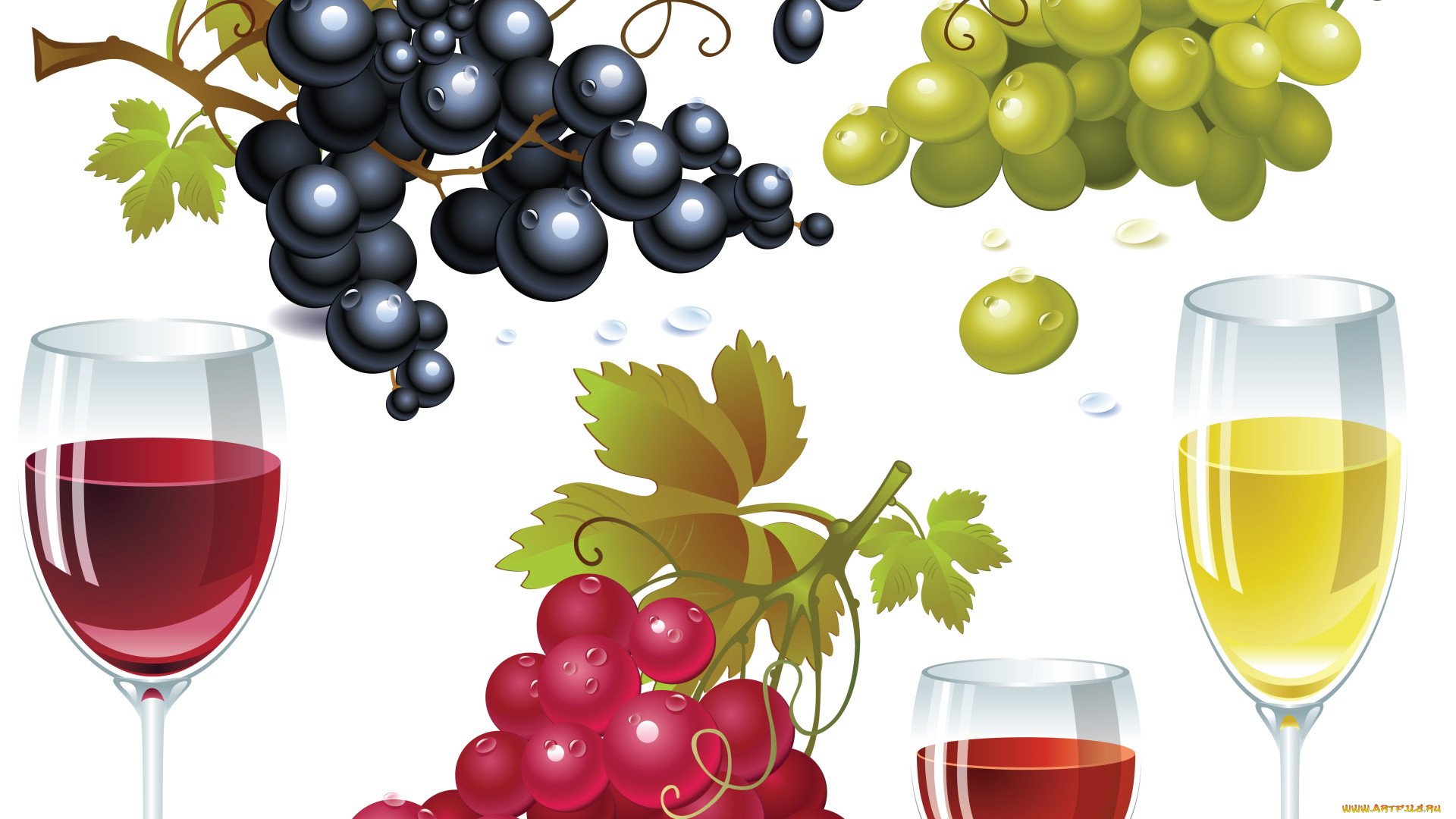 векторная, графика, еда, , food, грозди, фон, бокалы, виноград, вино
