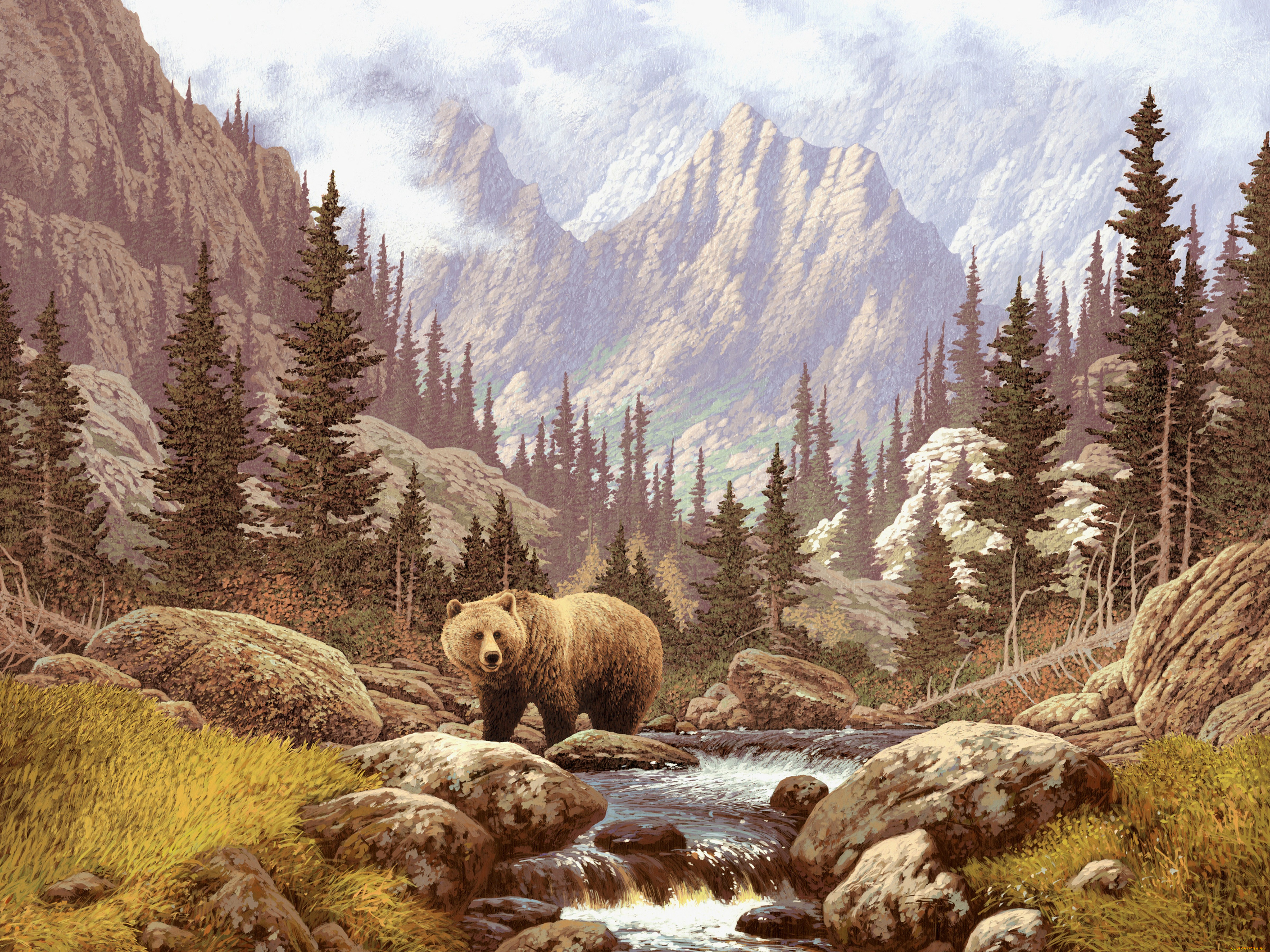 рисованные, животные, медведи, ручей, горы, лес