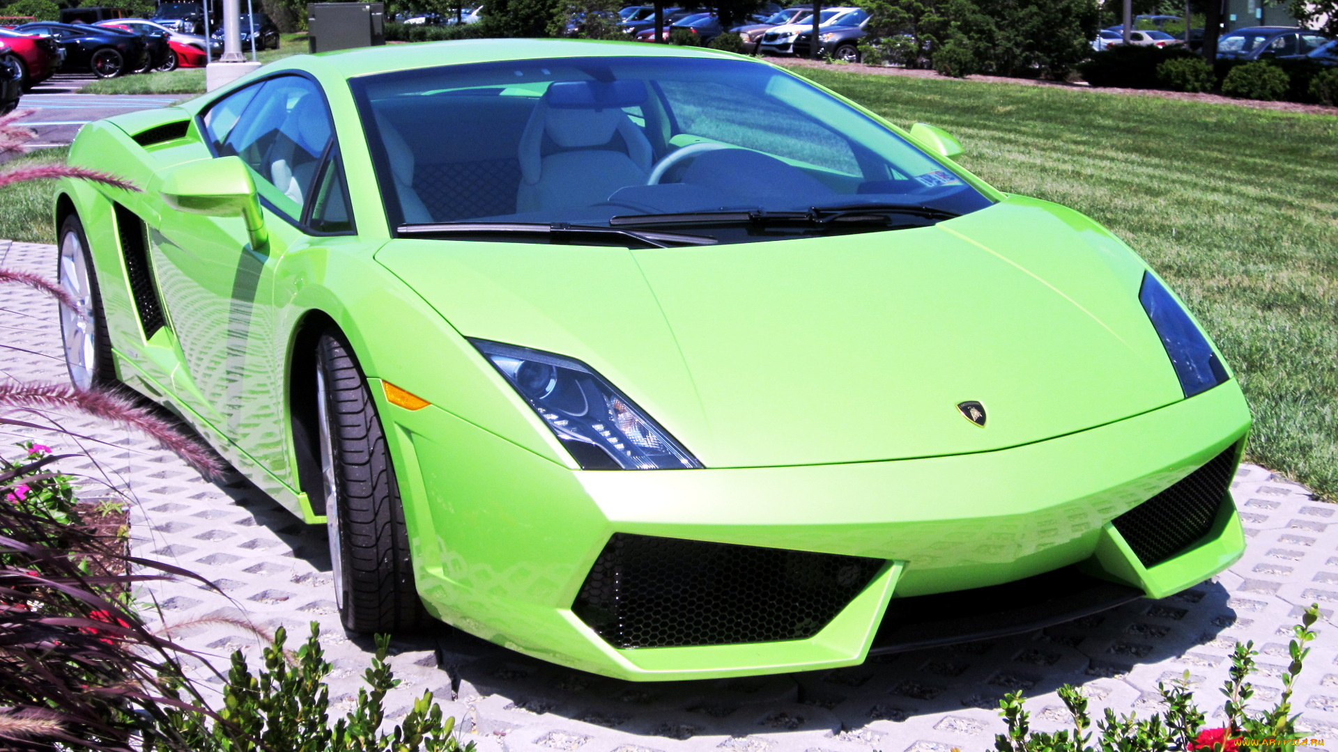 lamborghini, gallardo, автомобили, выставки, уличные, фото, automobili, s, p, a, спортивные, италия