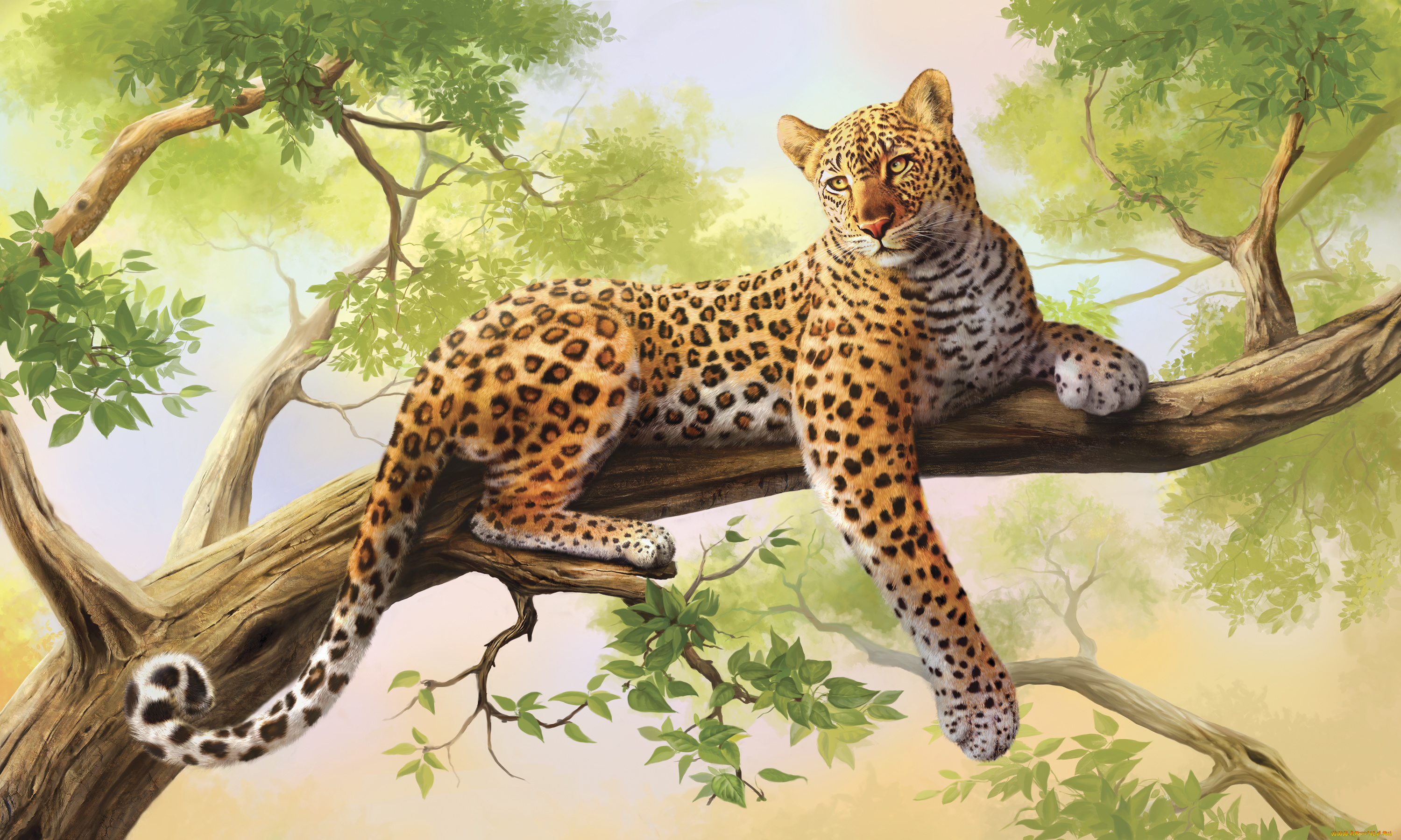 рисованные, животные, дерево, леопард