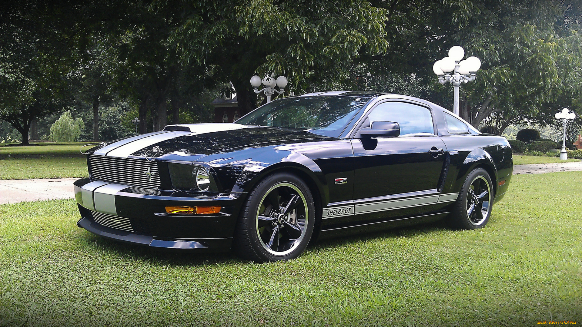 2007, shelby, gt, автомобили, mustang, спорткар