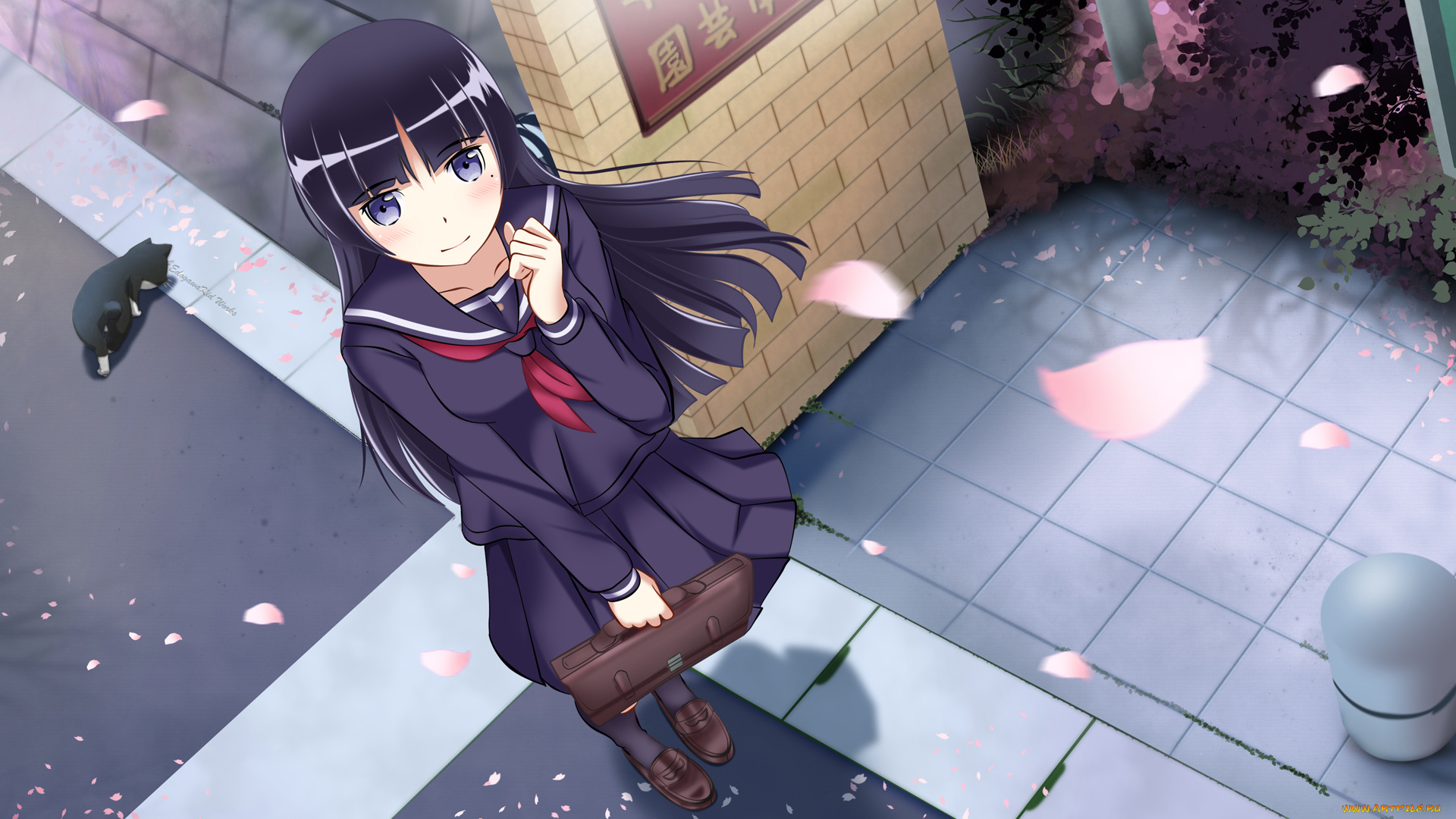 аниме, oreimo, ore, no, imouto, ga, konna, ni, kawaii, wake, nai, лепестки, девушка, арт, edogawakid, gokou, ruri, кот, улица