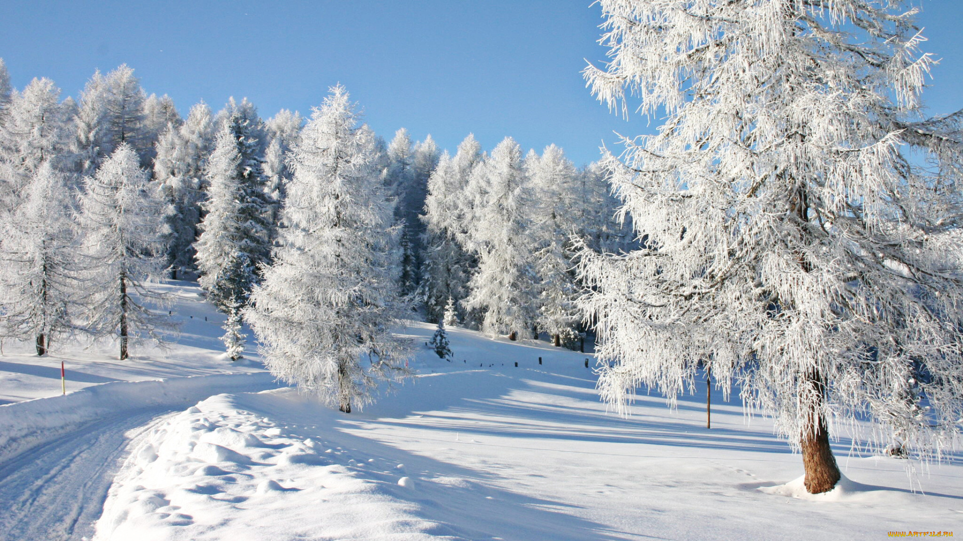 природа, зима, деревья, снег, пейзаж