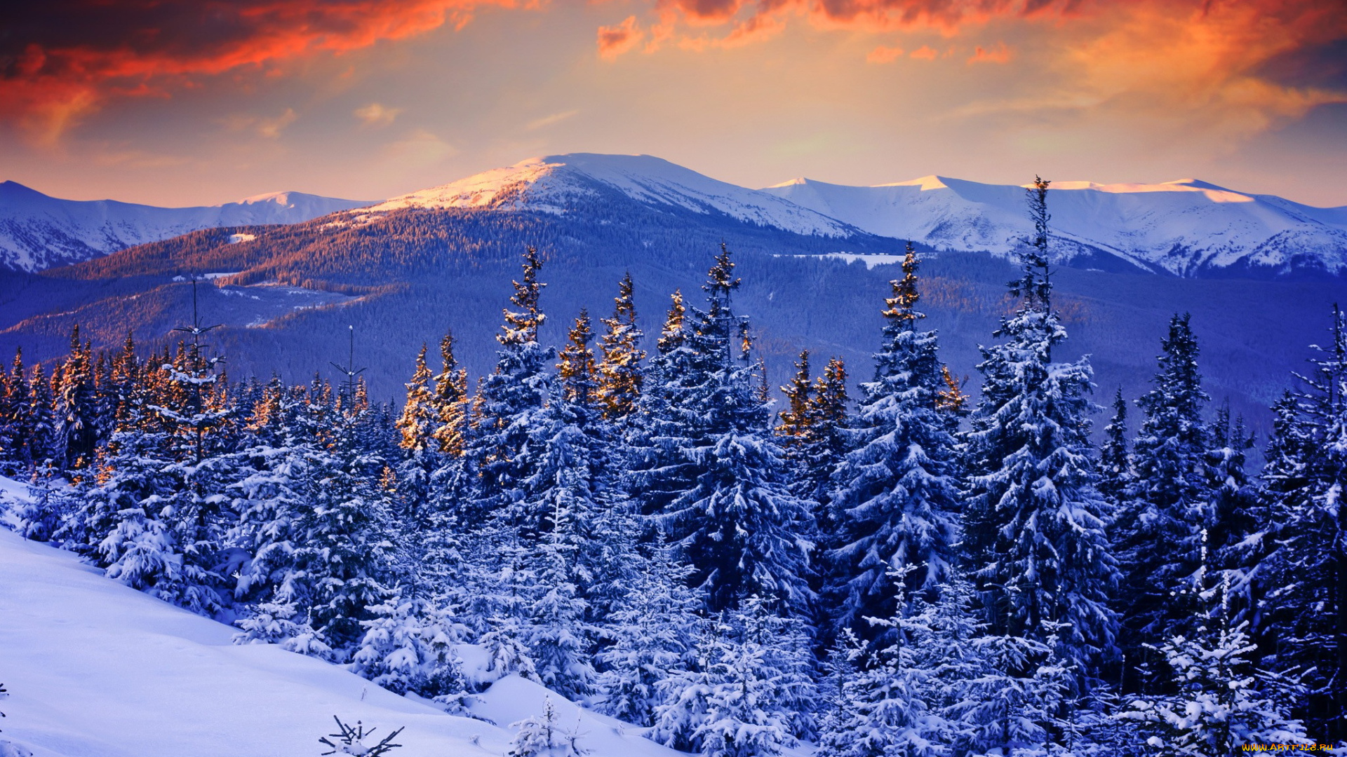 природа, зима, снег, лес, небо, деревья, закат, горы
