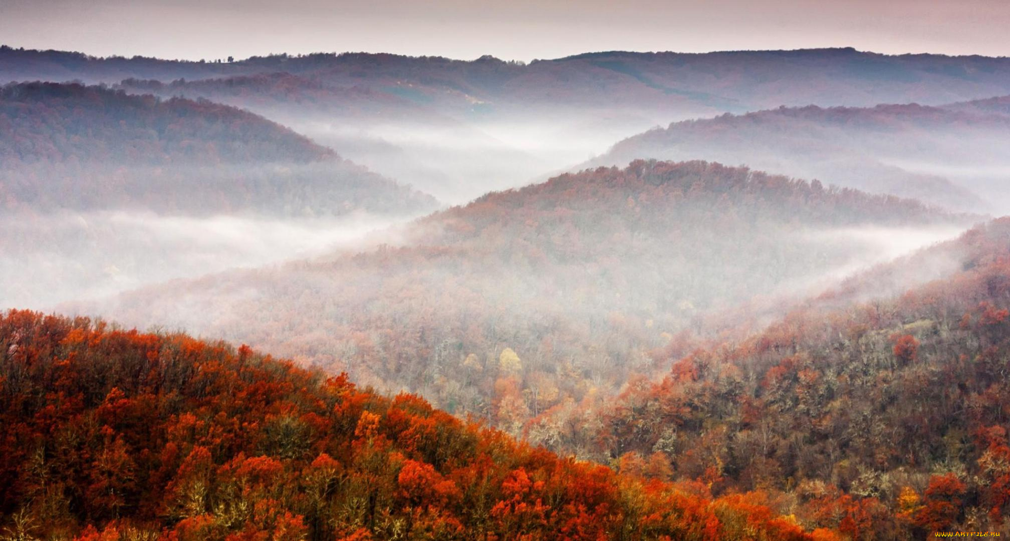 природа, горы, осень, лес, деревья, туман