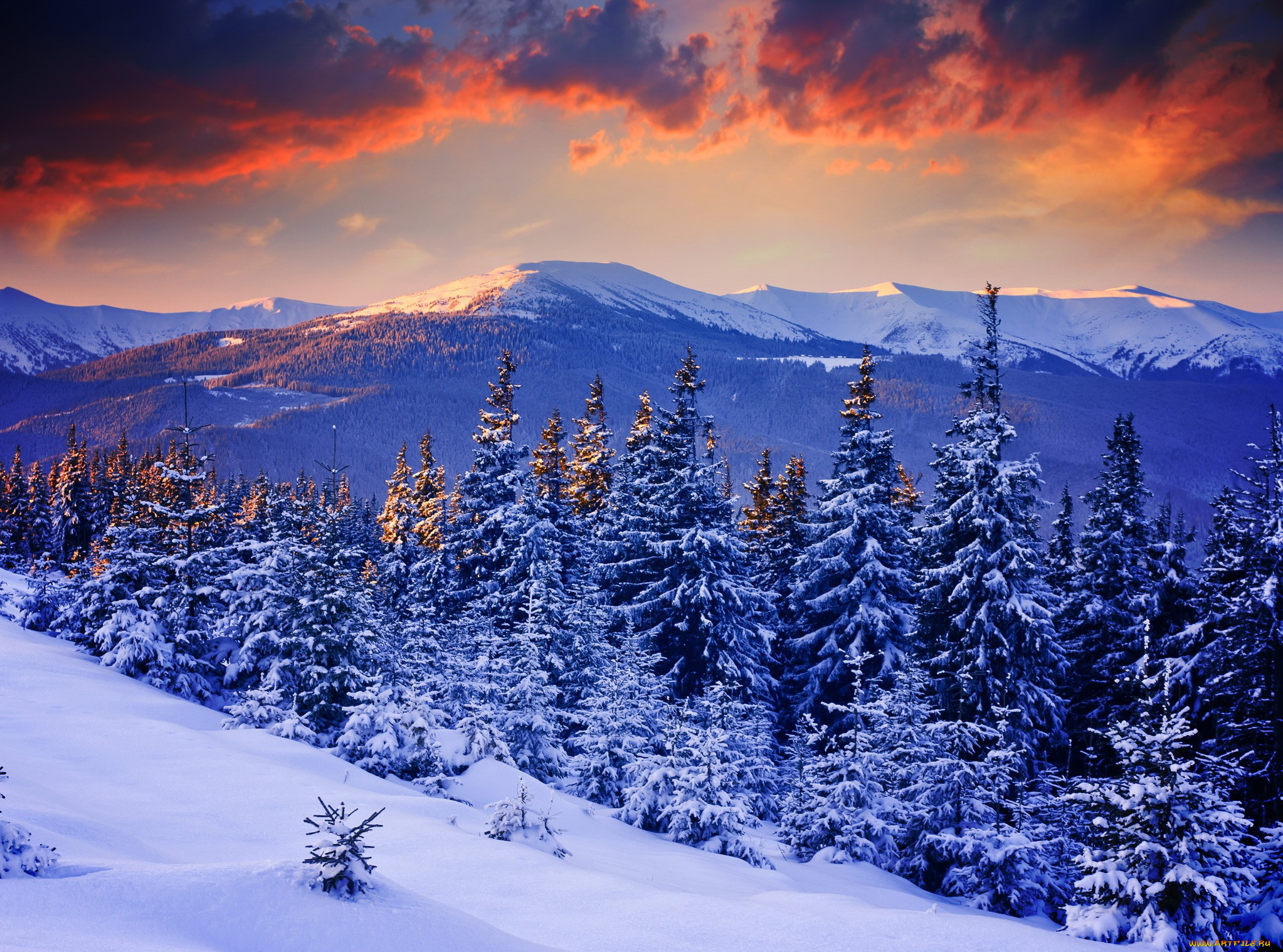 природа, зима, снег, лес, небо, деревья, закат, горы