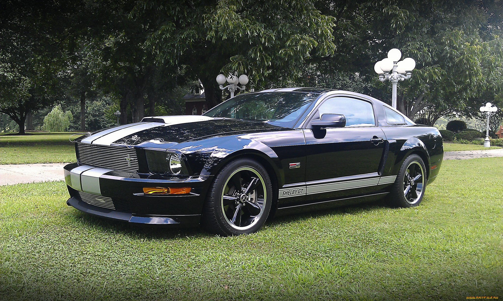 2007, shelby, gt, автомобили, mustang, спорткар