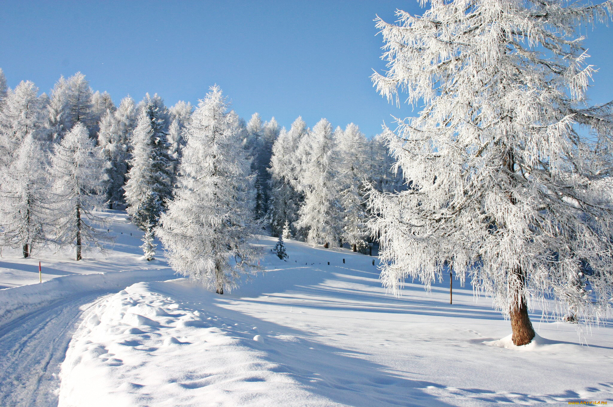 Зиму зима очень сильно. Зимняя природа. Зима пейзаж. Снежный пейзаж. Красивые зимние пейзажи природы.