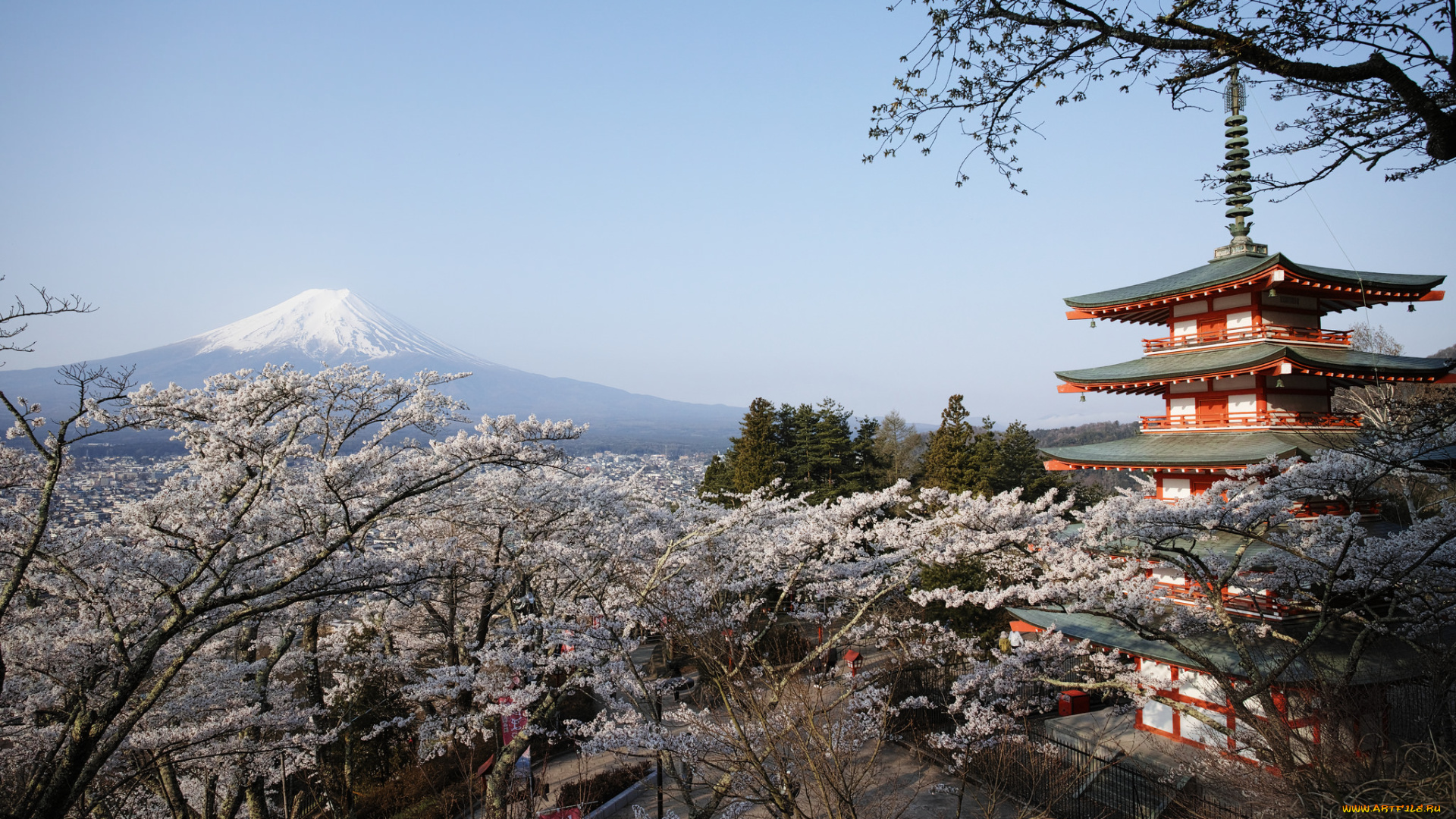 chureito, pagoda, with, mt, , fuji, города, -, буддийские, и, другие, храмы, храм, фудзи