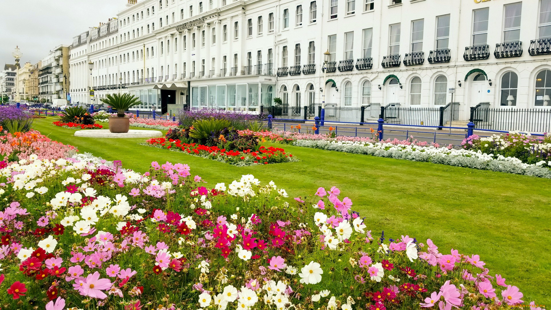 eastbourne, , england, города, -, здания, , дома, england