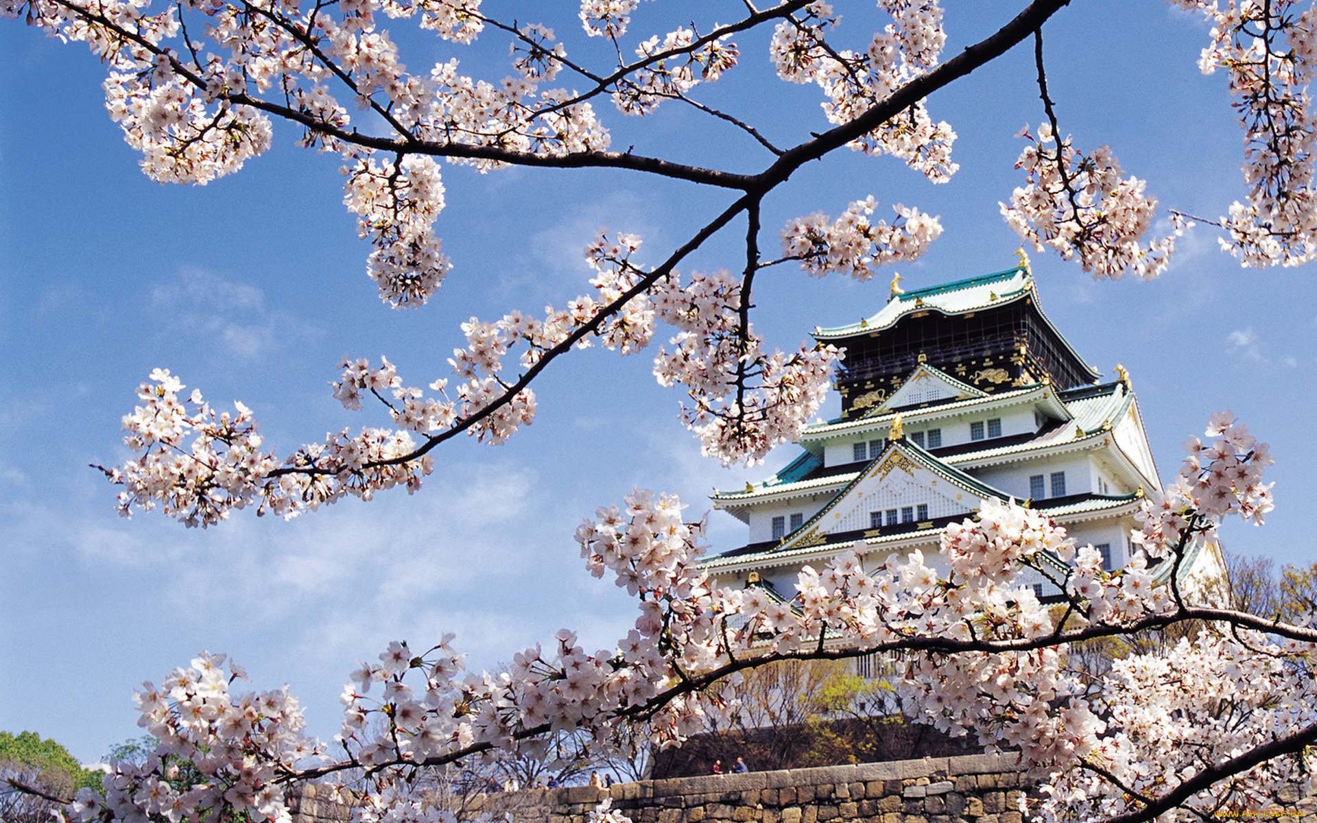 nagoya, castle, города, замки, японии, nagoya, castle