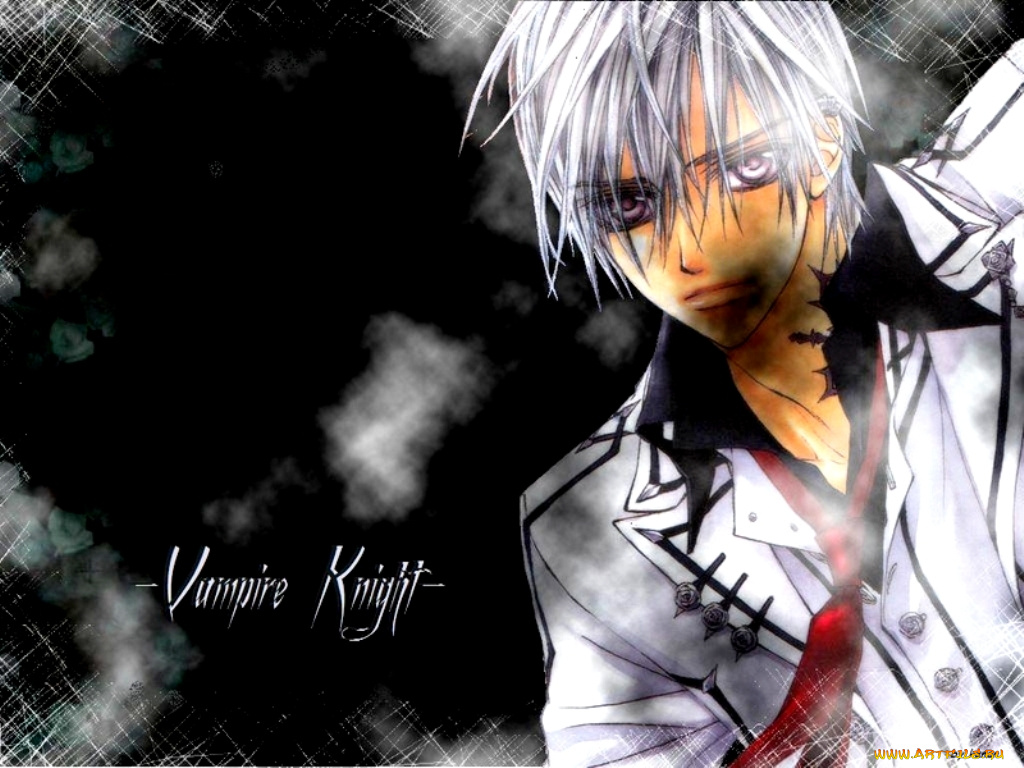 аниме, vampire, knight