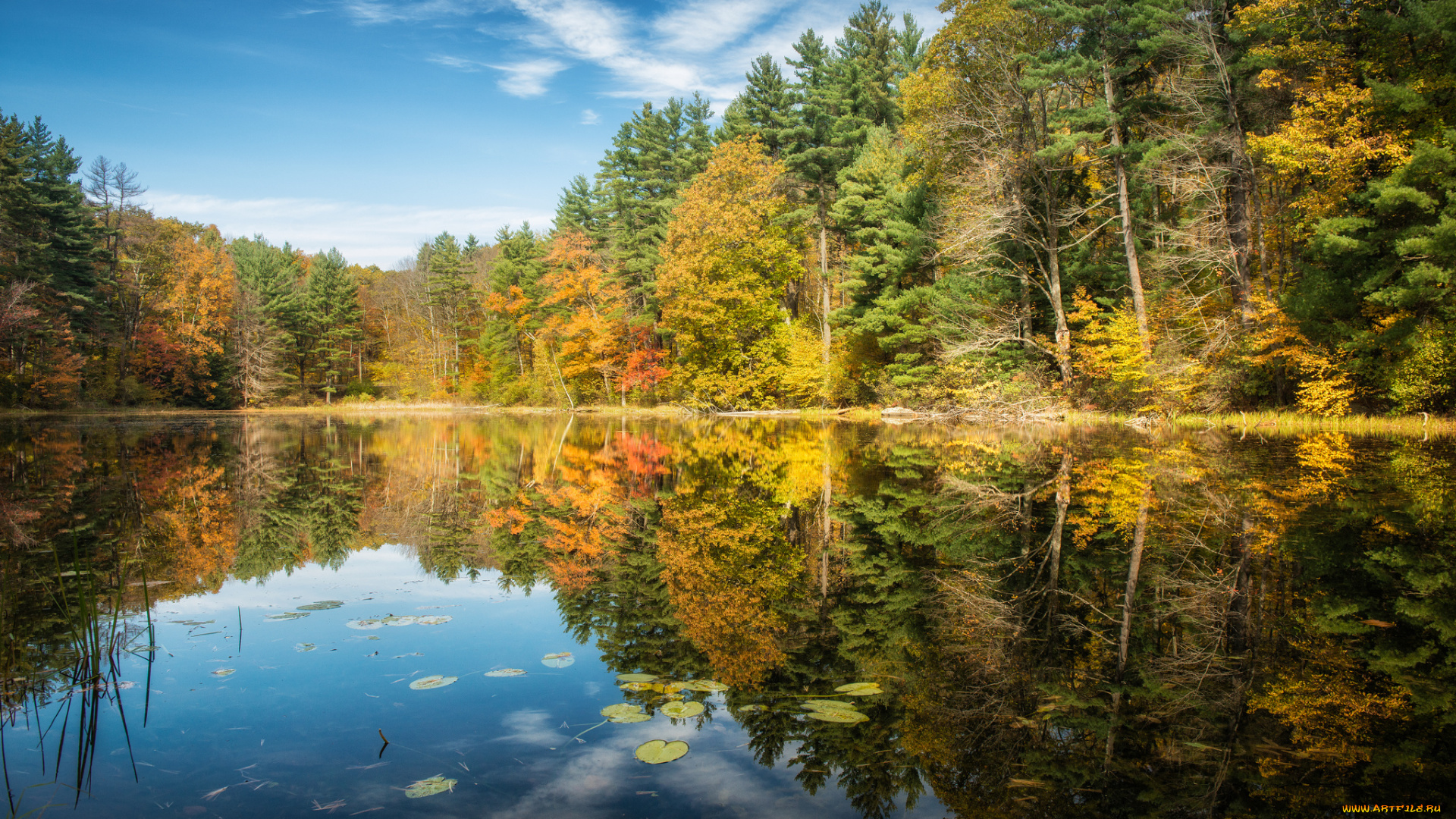 norfolk, connecticut, природа, реки, озера, лес, озеро, деревья, отражение, осень