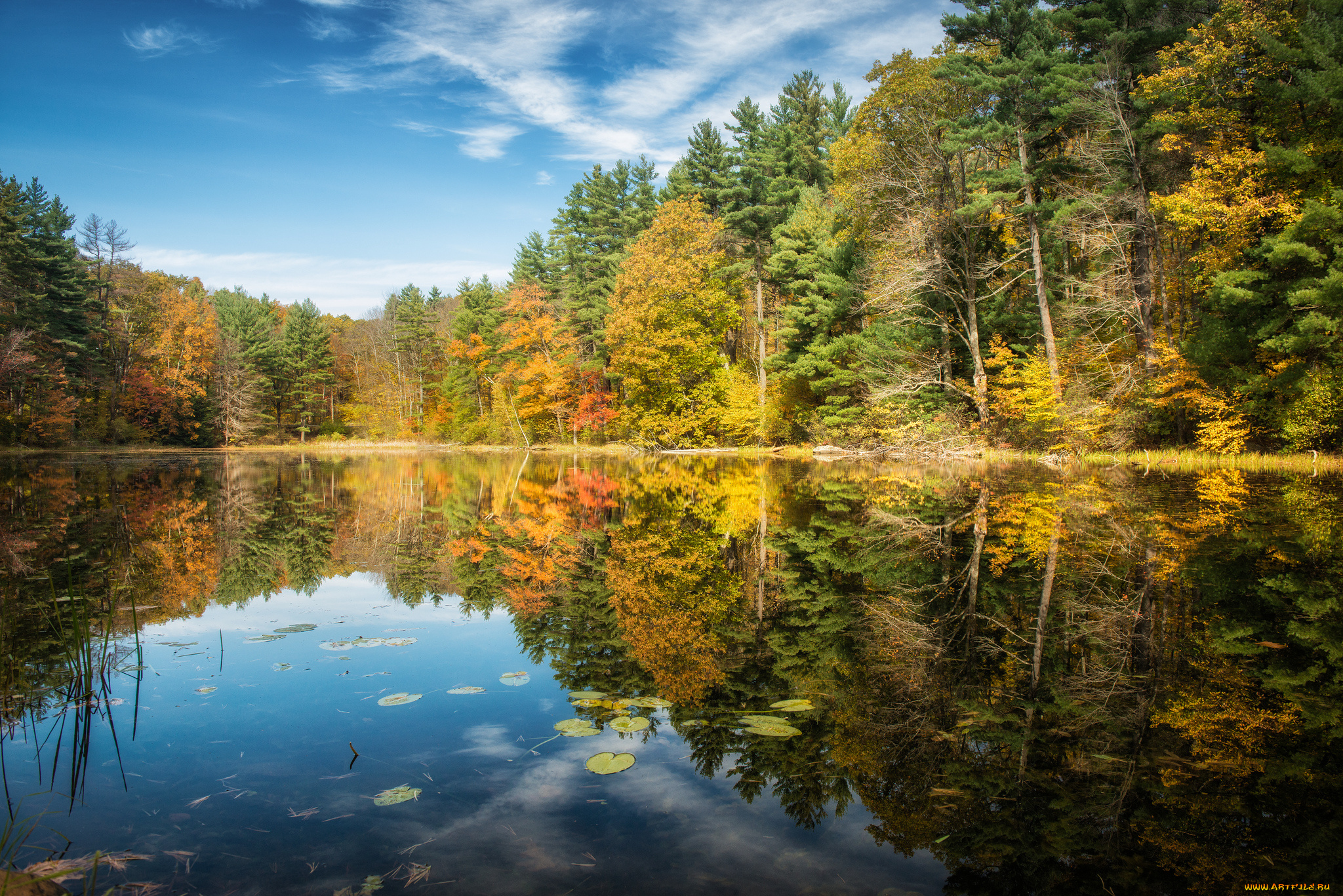 norfolk, connecticut, природа, реки, озера, лес, озеро, деревья, отражение, осень