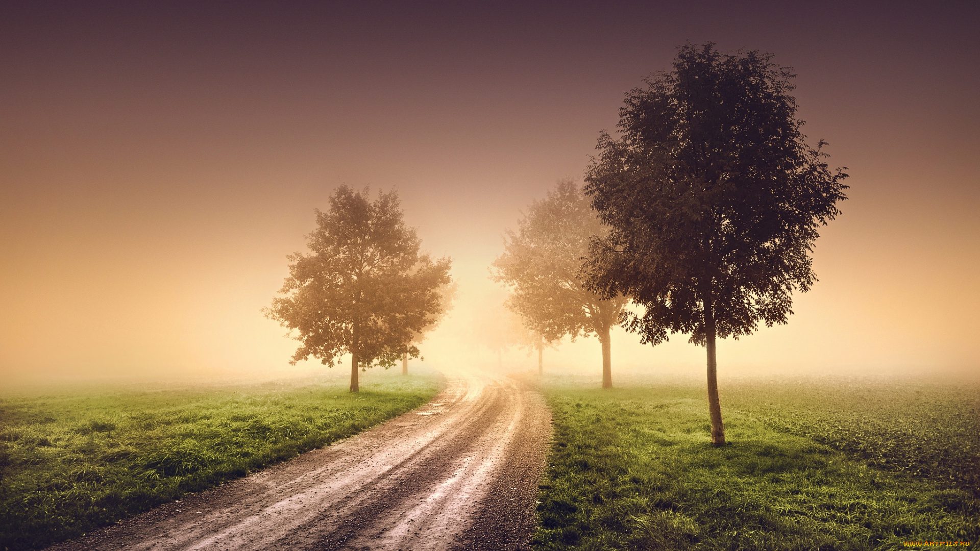 природа, дороги, утро, туман, дымка, деревья, дорога