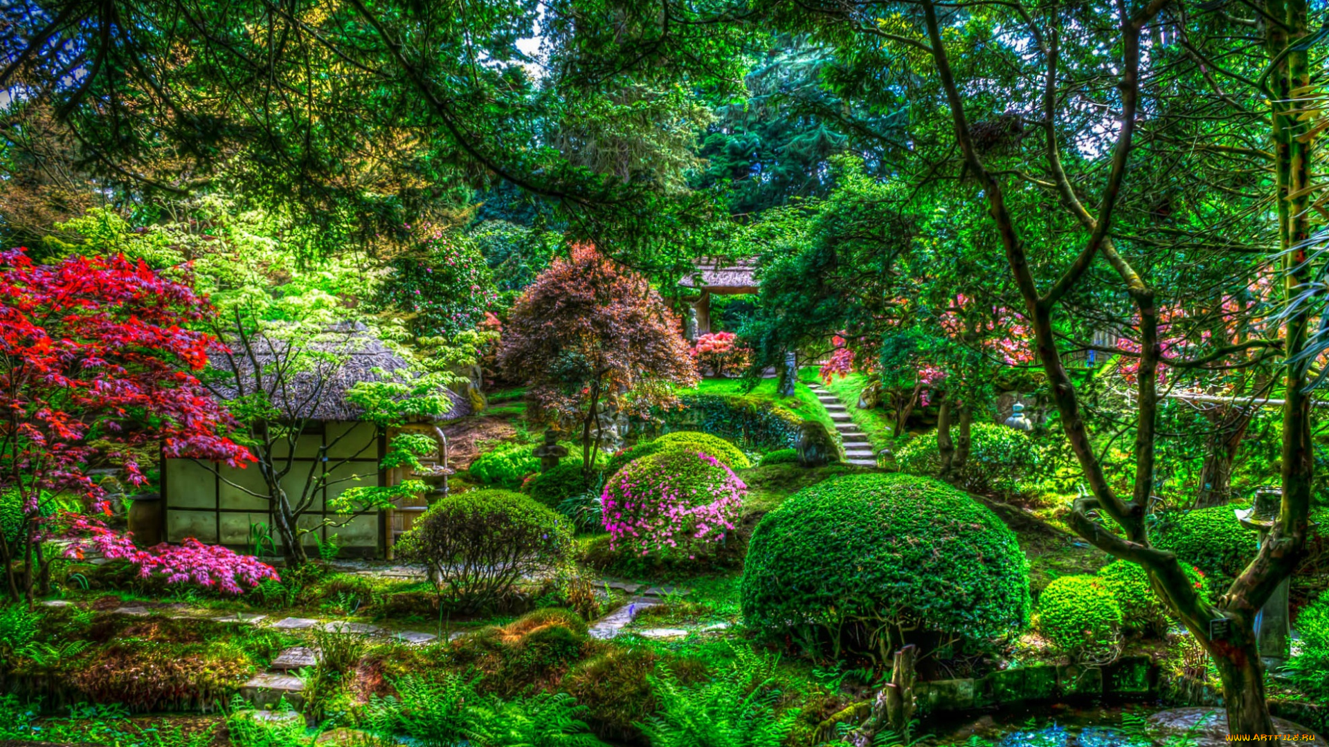 природа, парк, пруд, цветы, кусты, деревья, hdr, Япония, домик