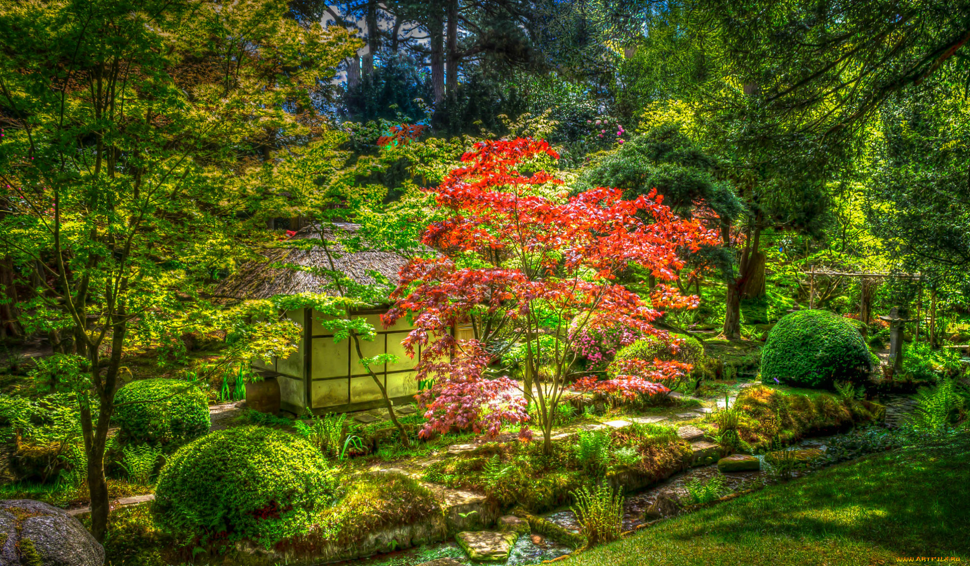 природа, парк, hdr, кусты, домик, зелень, Япония, деревья