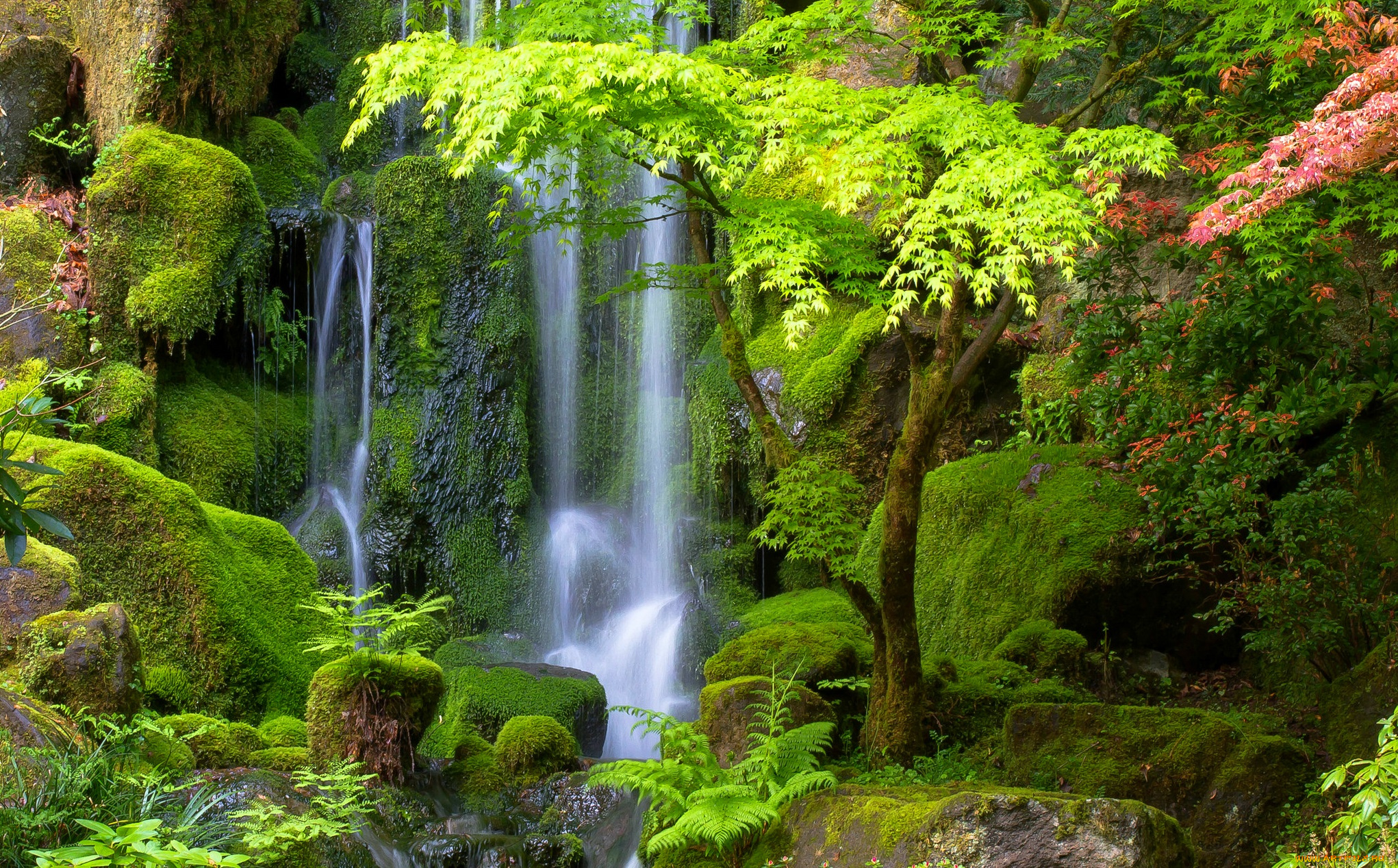 природа, водопады, деревья, зелень, мох, камни, поток, водопад