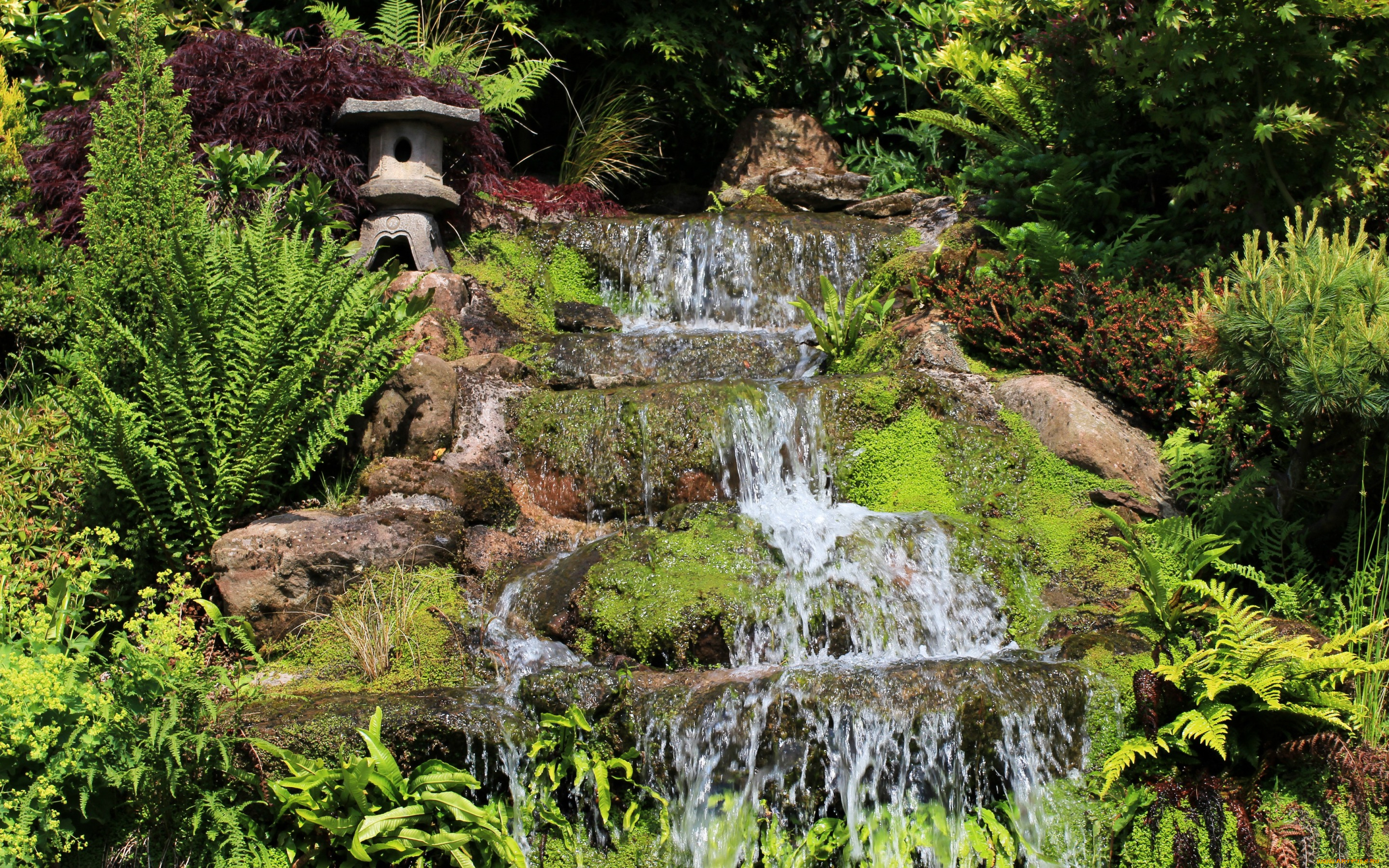 природа, водопады, великобритания, mount, pleasant, garden, kelsall, сад, зелень, ручей, водопад