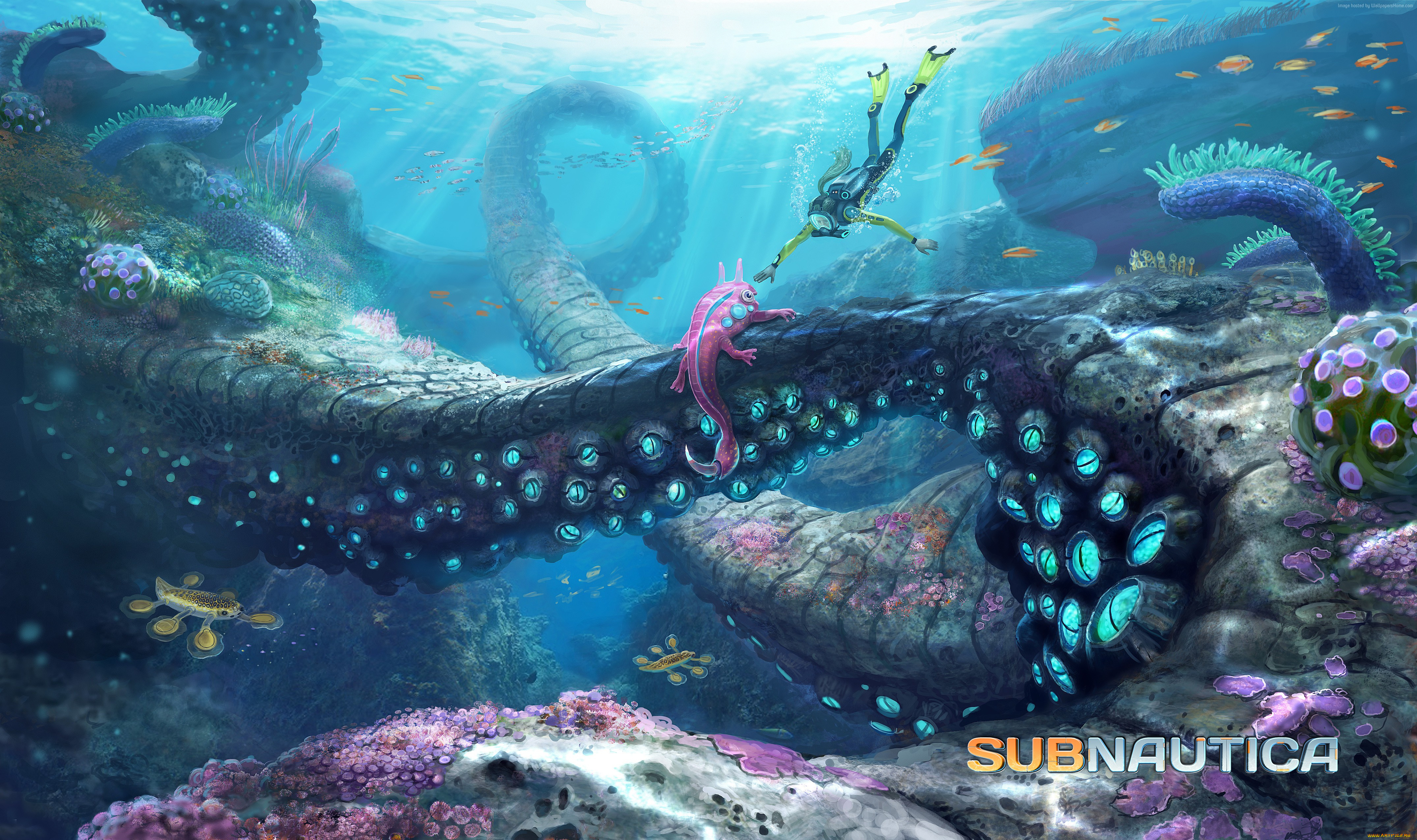subnautica, видео, игры, -, subnautica, симулятор, подводный, мир, приключения, action