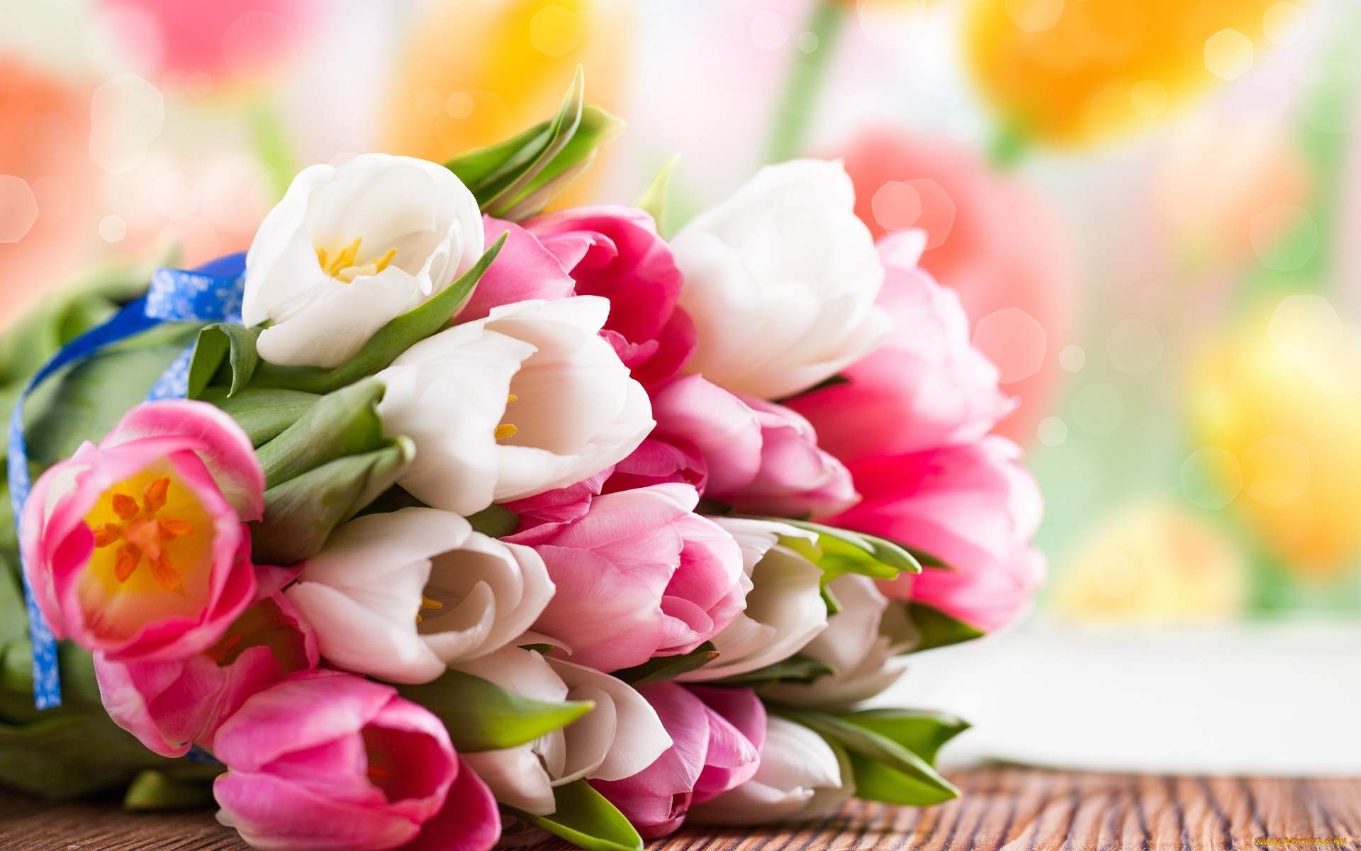 цветы, тюльпаны, белые, розовые, букет