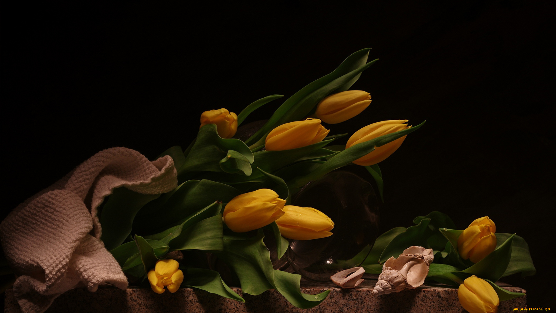 цветы, тюльпаны, букет, натюрморт