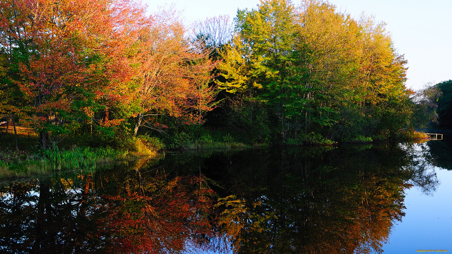 природа, реки, озера, озеро, деревья, осень