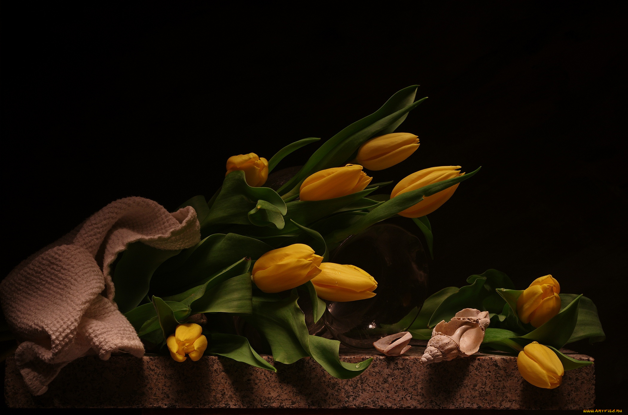 цветы, тюльпаны, букет, натюрморт