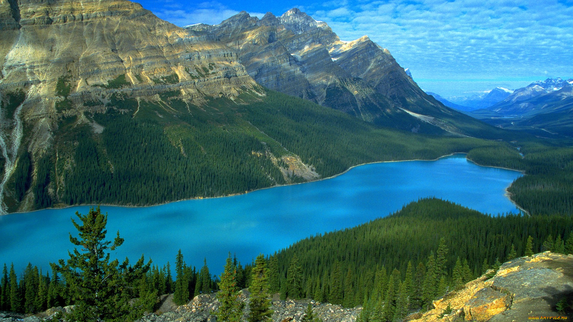 peyto, lake, icefields, parkway, alberta, ca, природа, реки, озера