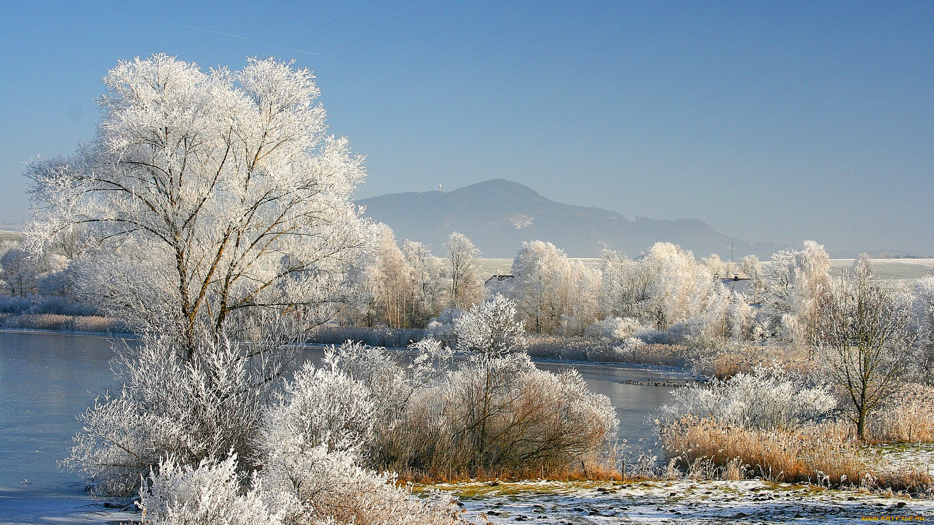 snow, white, природа, зима