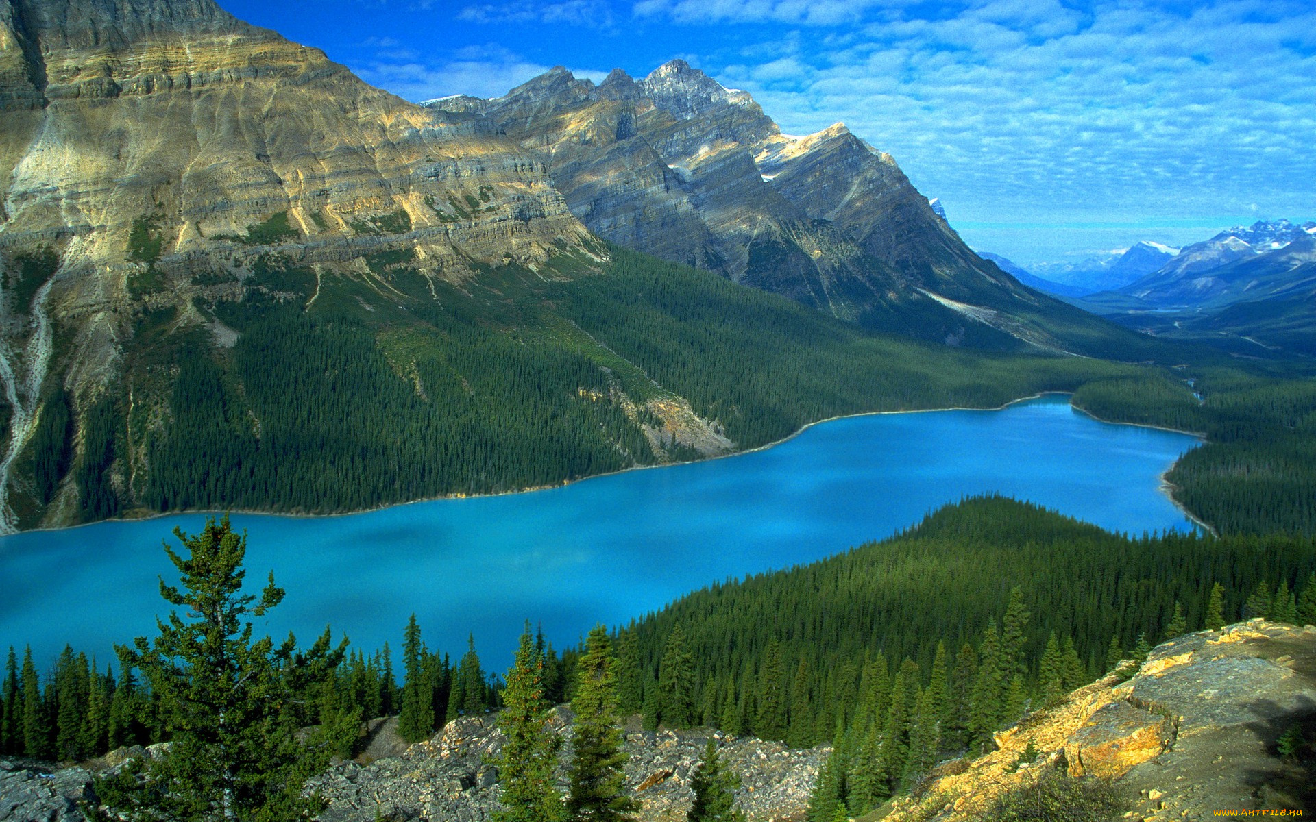 peyto, lake, icefields, parkway, alberta, ca, природа, реки, озера