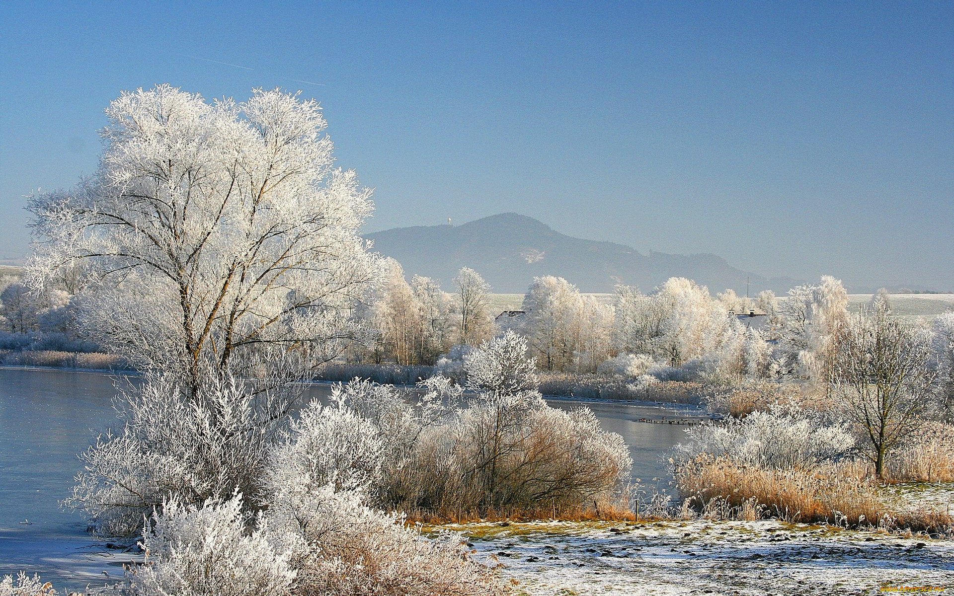 snow, white, природа, зима