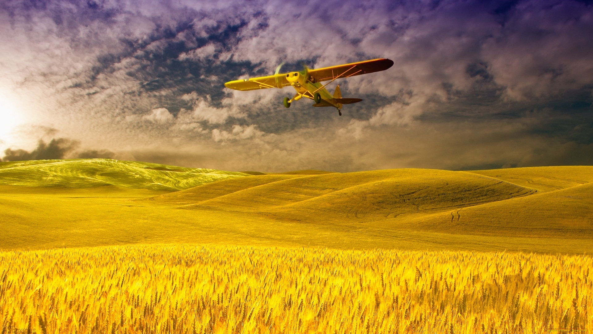 Последовательность над полем. Кукурузник самолет над полем. Самолет на фоне природы. Кукурузник в поле. Обои самолет.