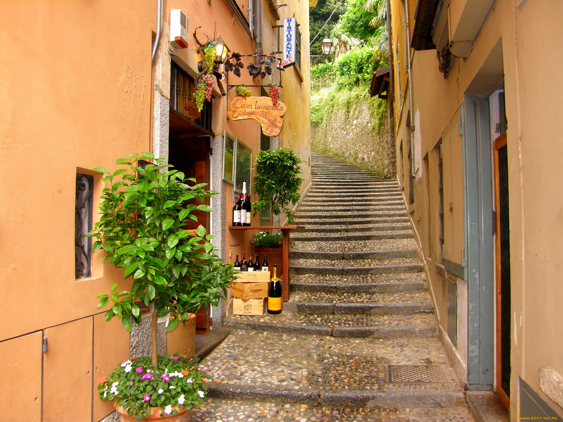 Италия, улочки, цветы, зелень бесплатно