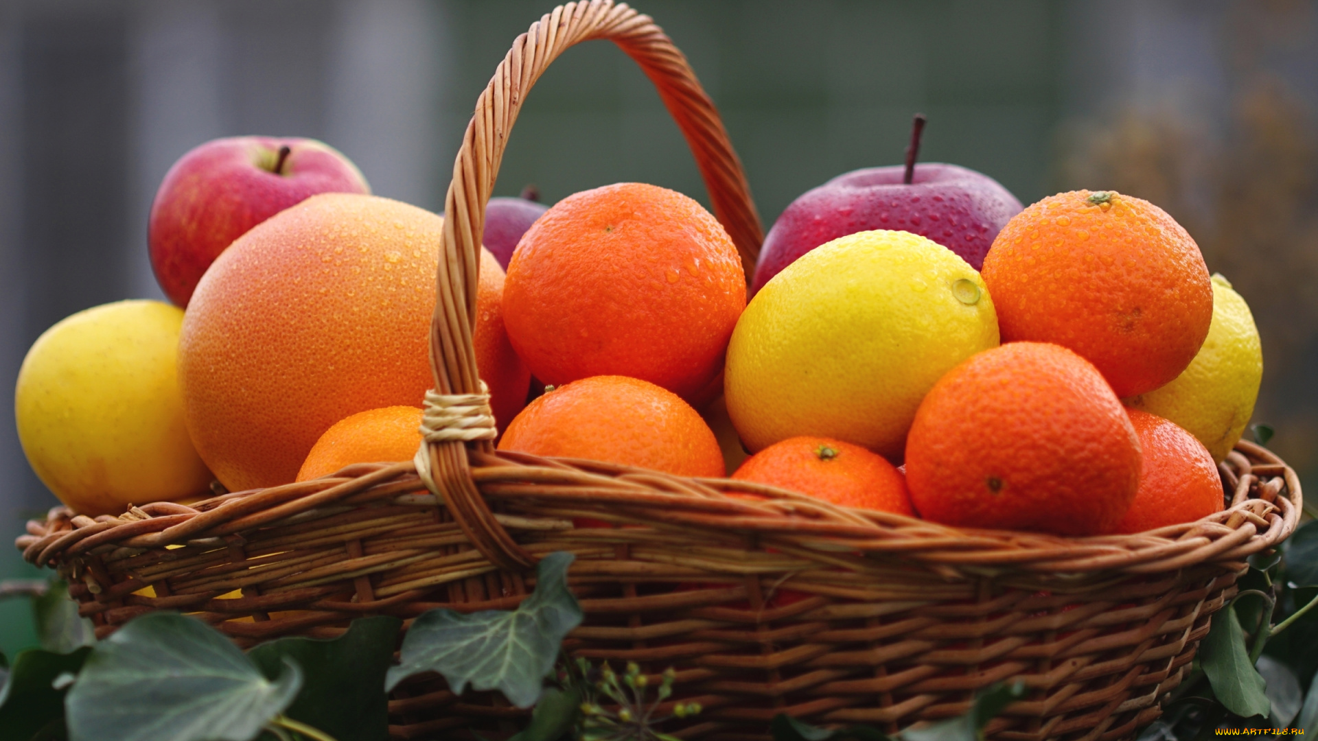 еда, фрукты, , ягоды, цитрусы, лимон, мандарин, апельсин, яблоко, корзина