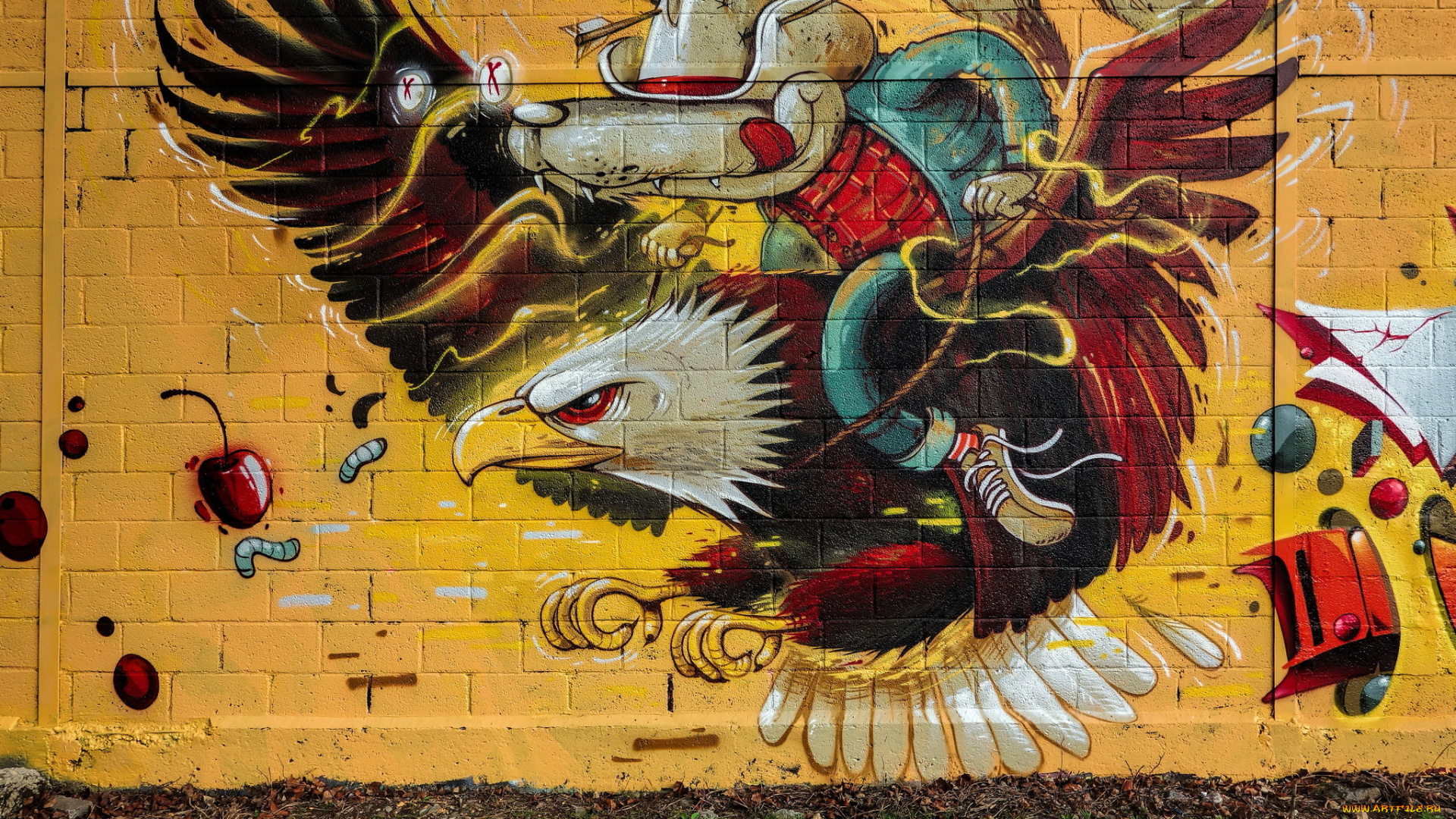 разное, граффити, графити, орёл, стена