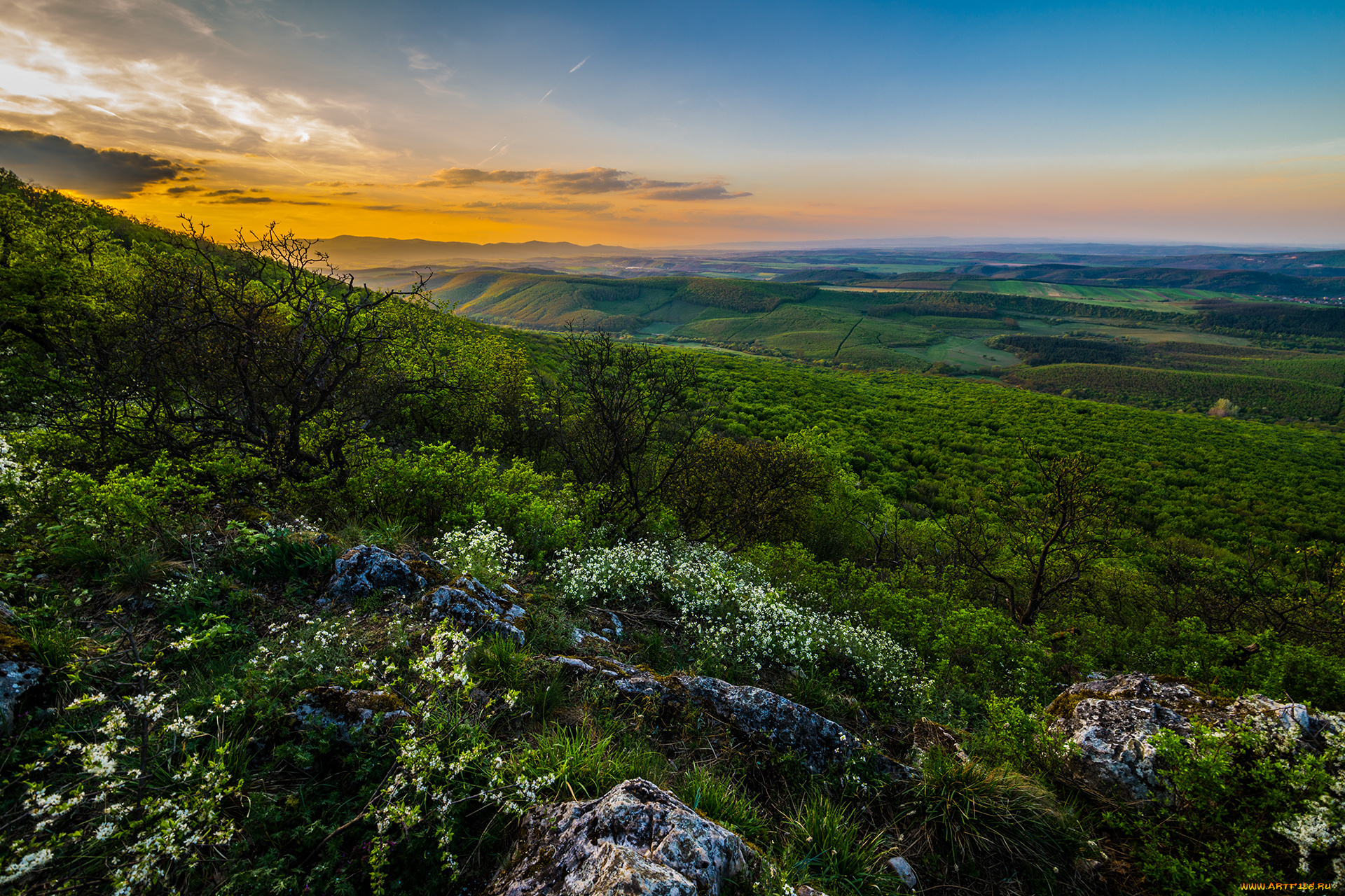 природа, пейзажи, простор