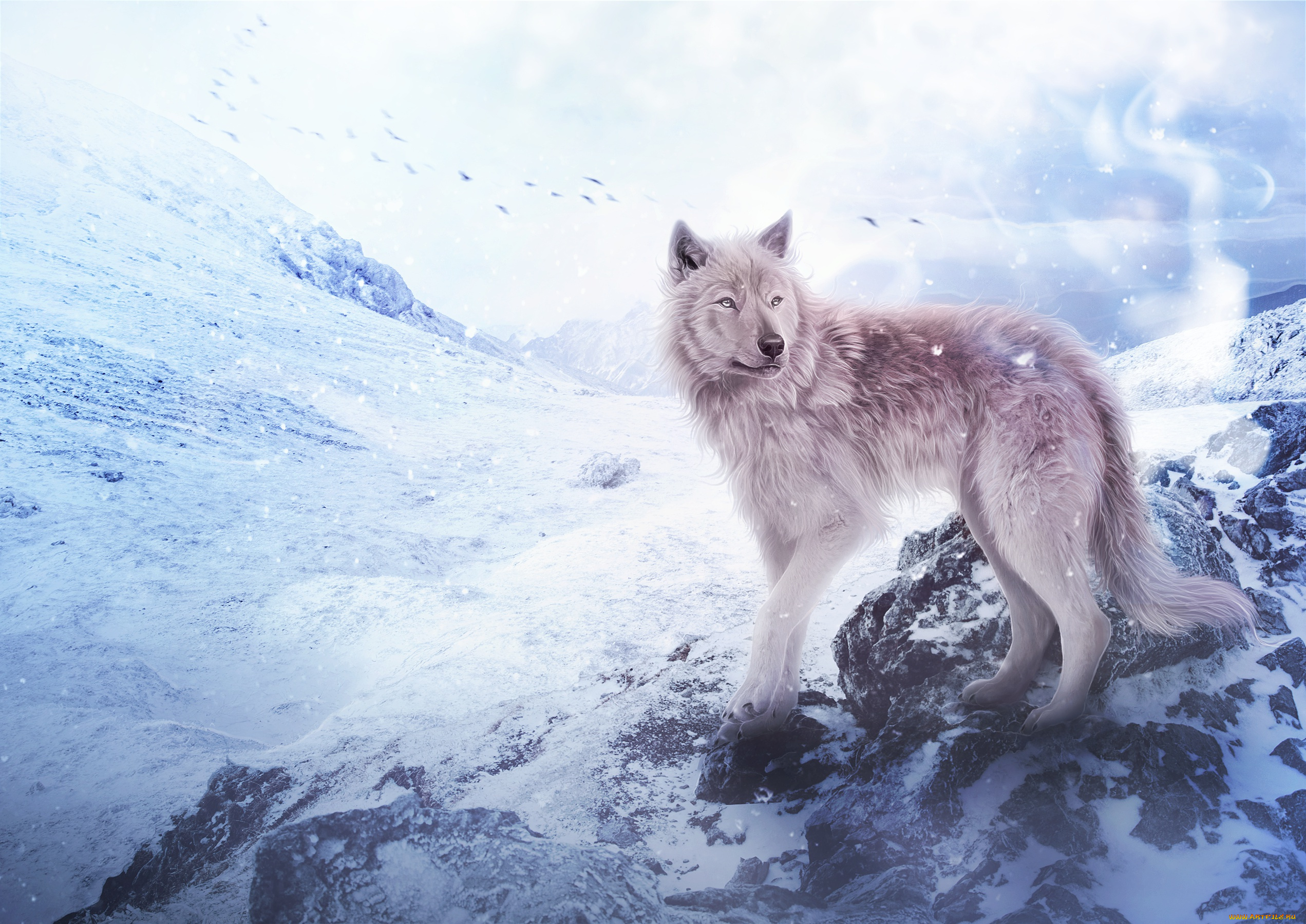 рисованное, животные, , волки, горы, волк, снег, by, fiirewolf