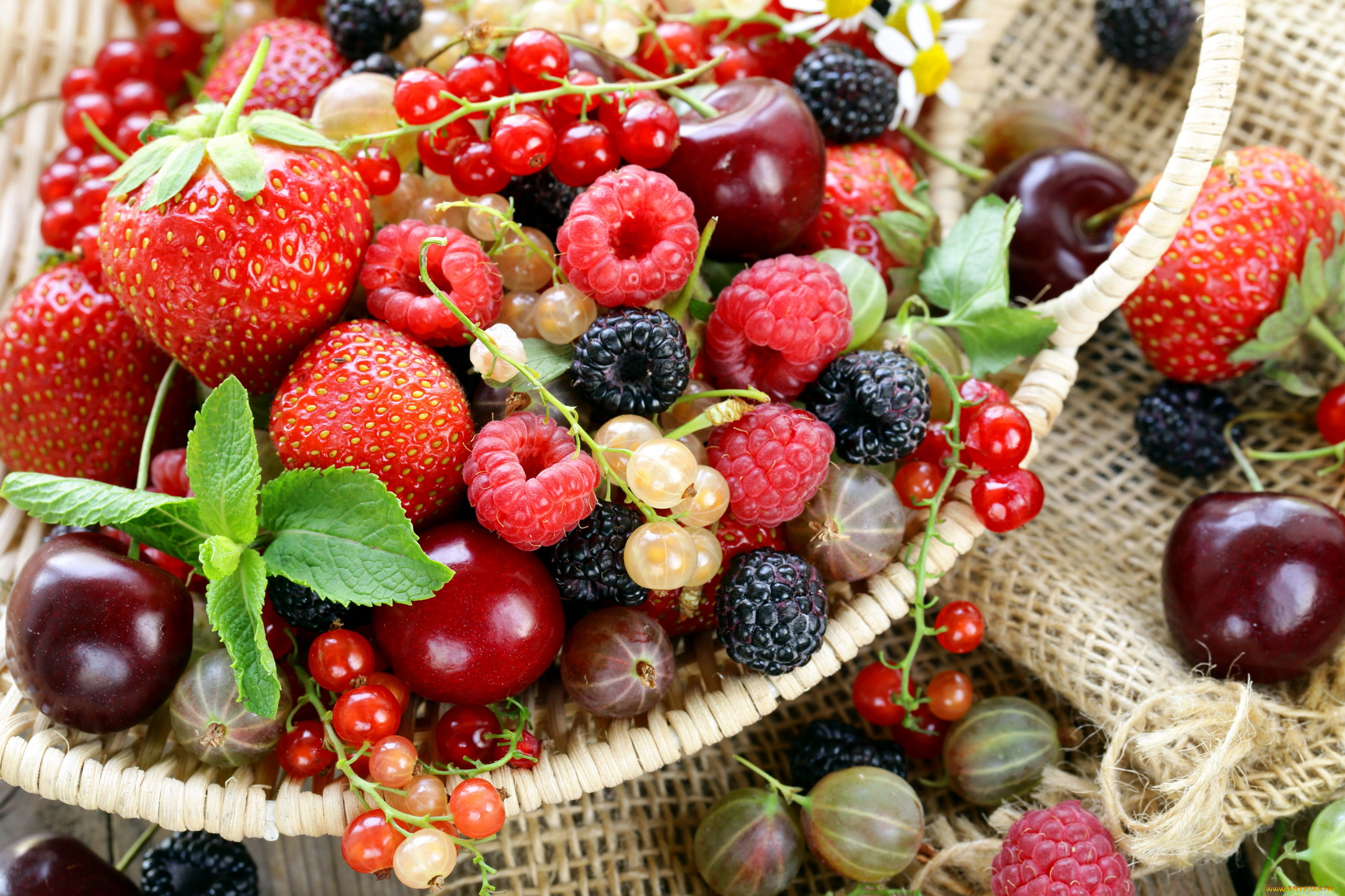 еда, фрукты, , ягоды, вишня, ежевика, крыжовник, клубника, ягоды, малина