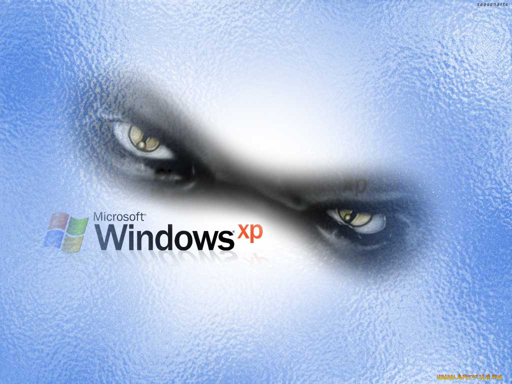 windows, xp, компьютеры