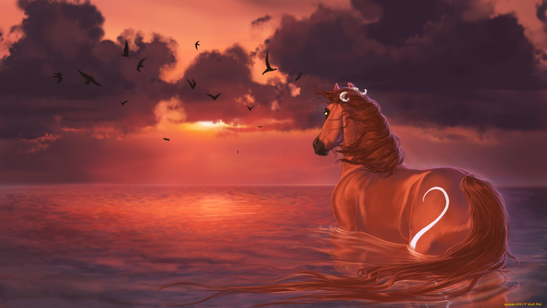 рисованные, животные, лошади, burning, sky, лошадь, закат, вода, птицы, облака