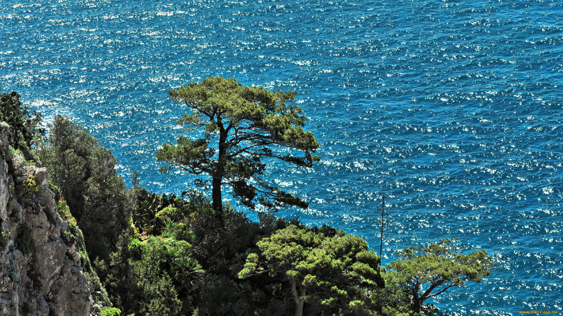 capri, природа, побережье, море, рябь, деревья, скалы