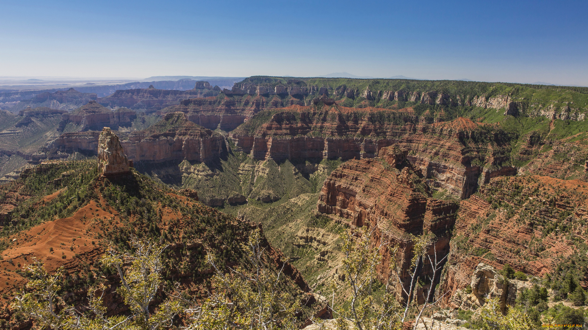 grand, canyon, national, park, arizona, природа, горы, лес