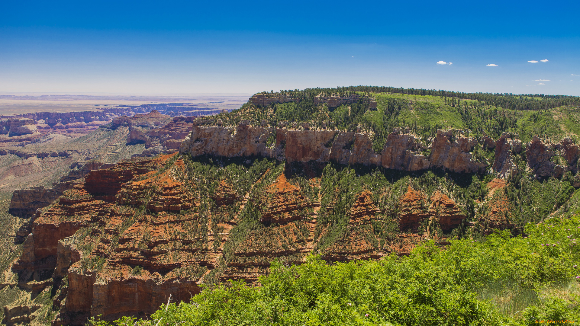 grand, canyon, national, park, arizona, природа, горы, лес