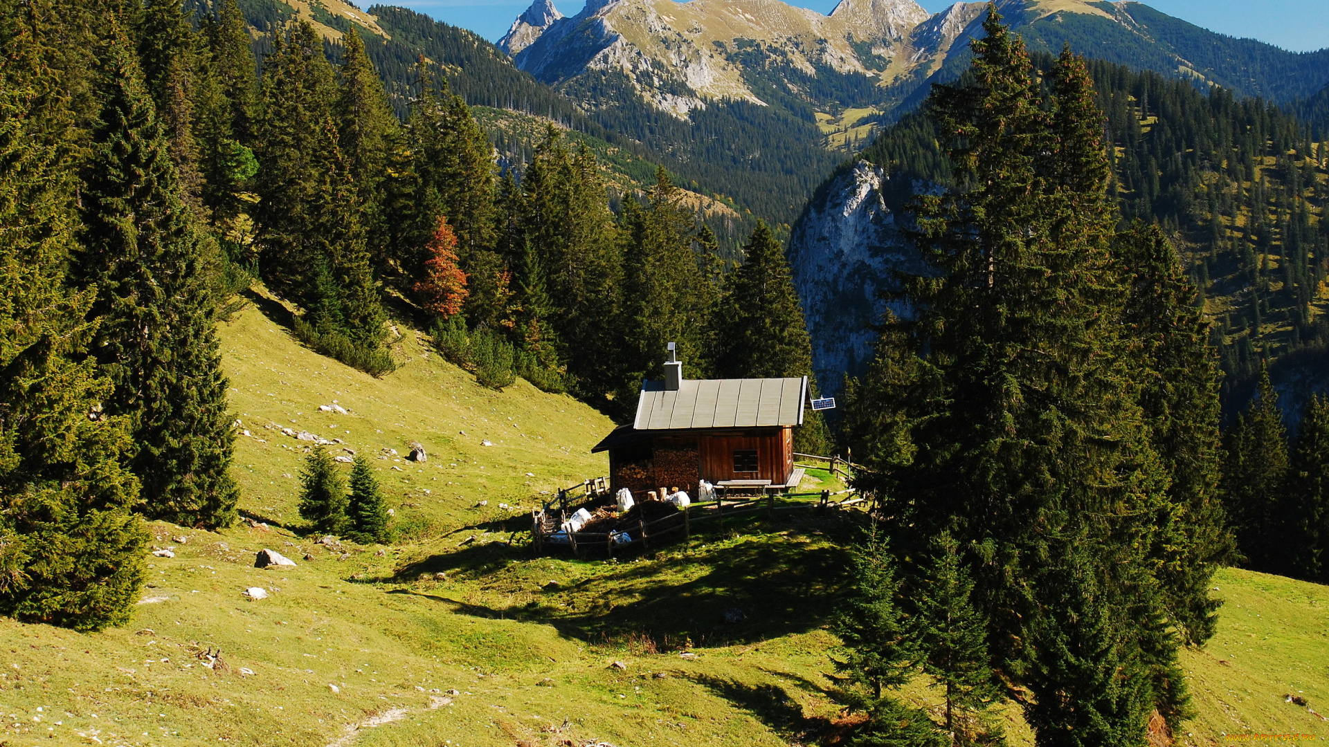 hohenschwangau, bavaria, природа, горы, лес, дом